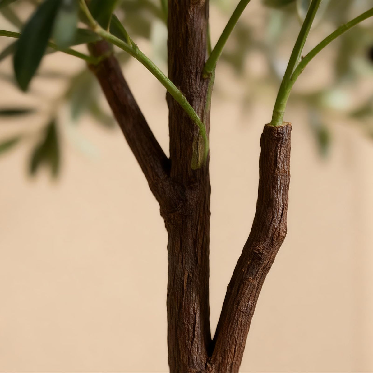 Olive Tree Olive Trees Artificial Indoor 6FT Faux Olive Tree - ENLETRAN Official Imagery - 5