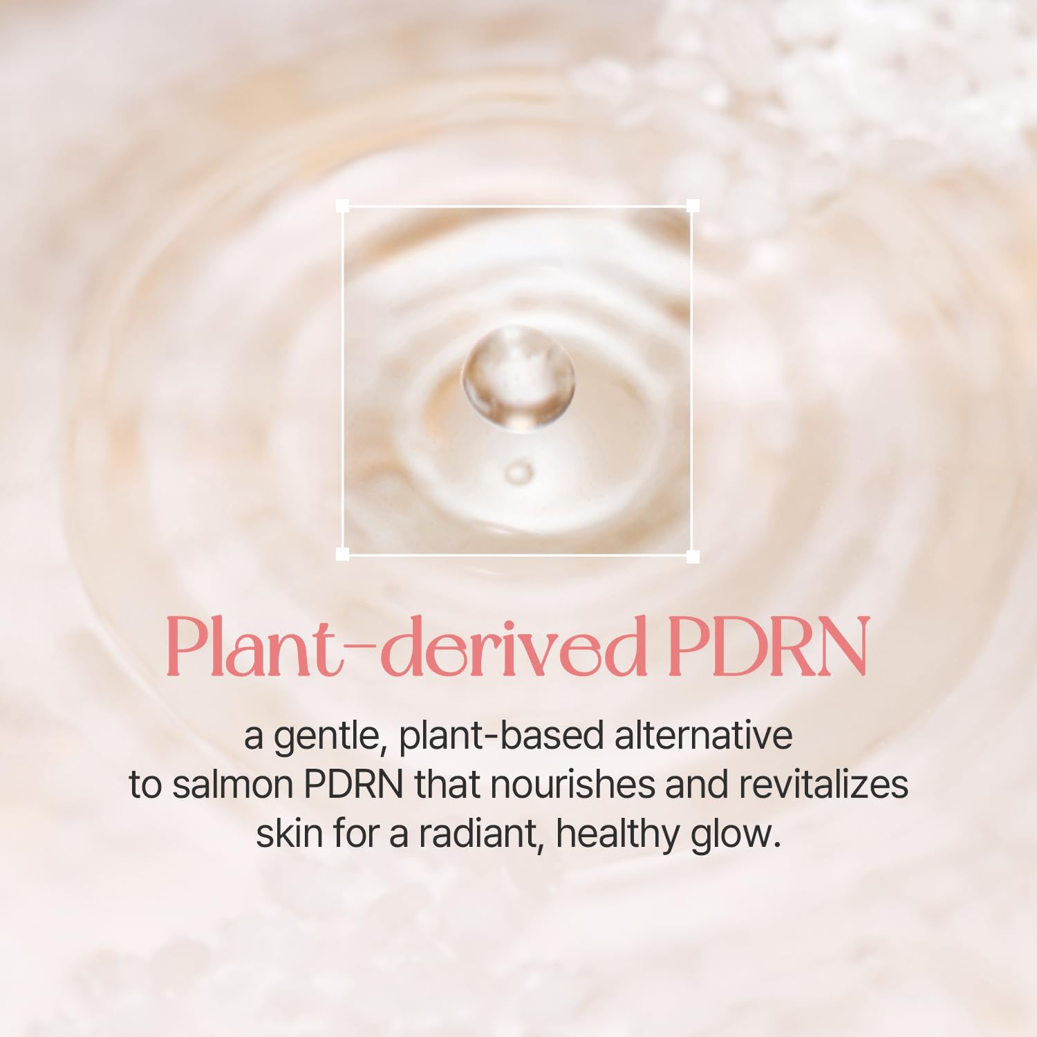 mixsoon PDRN Collagen Tinted Moisturizer - Skincare Infused Base with Rice PDRN & - mixsoon Official Product View 4