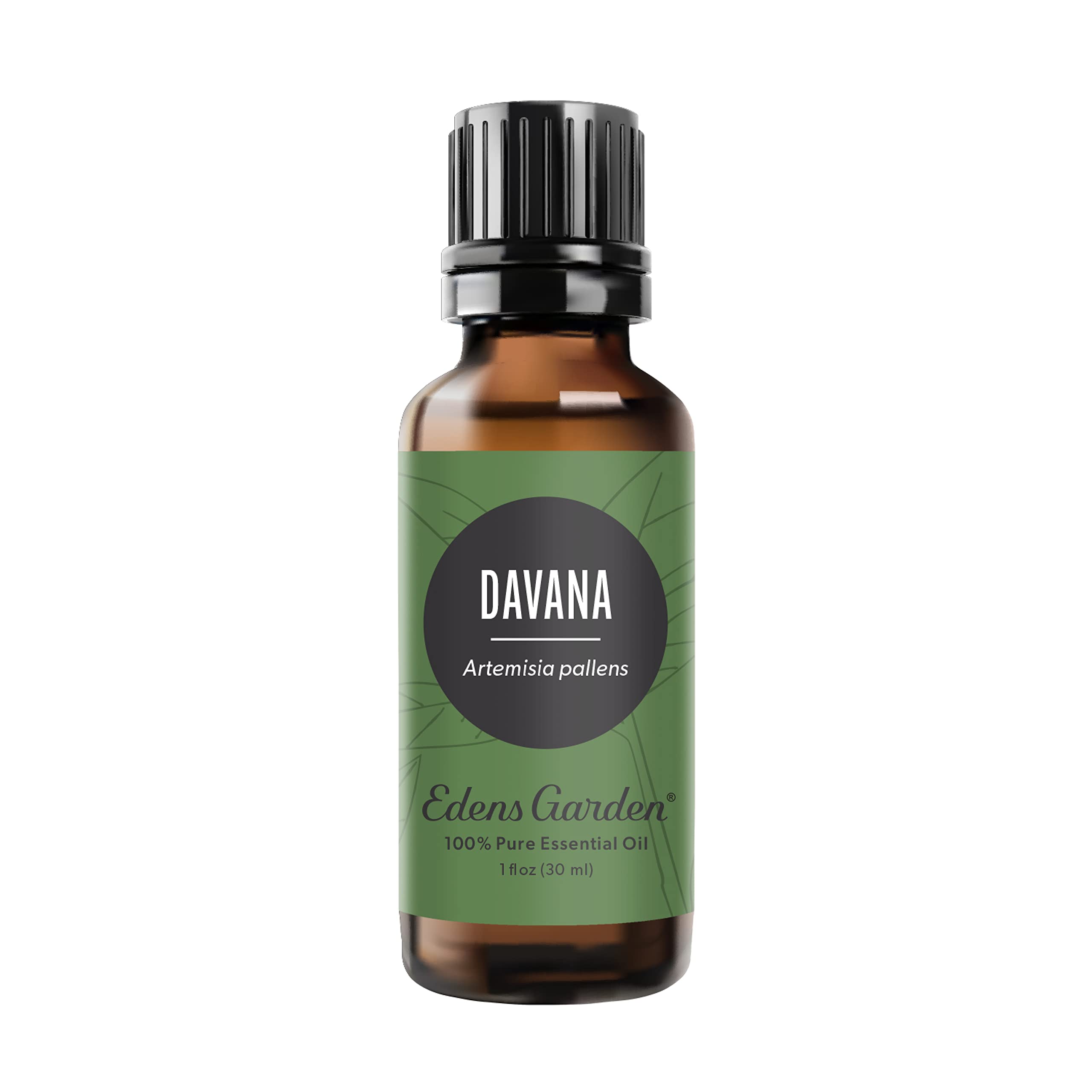 Edens Garden Davana Essential Oil- 100% Pure 30 ml (1 fl oz) - Product Imagery