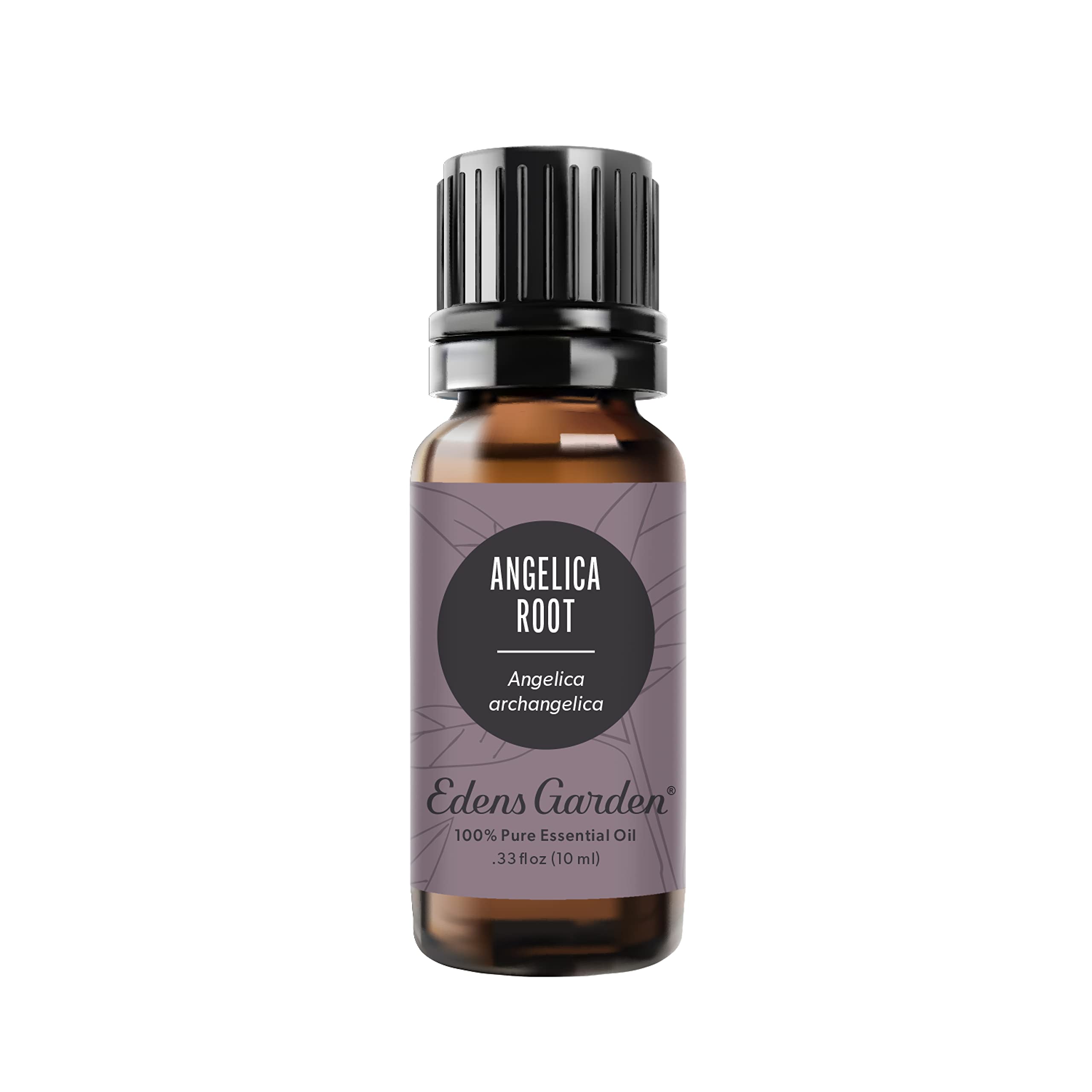 Edens Garden Angelica Root Essential Oil- 100% Pure 10 ml (.33 - Product Imagery