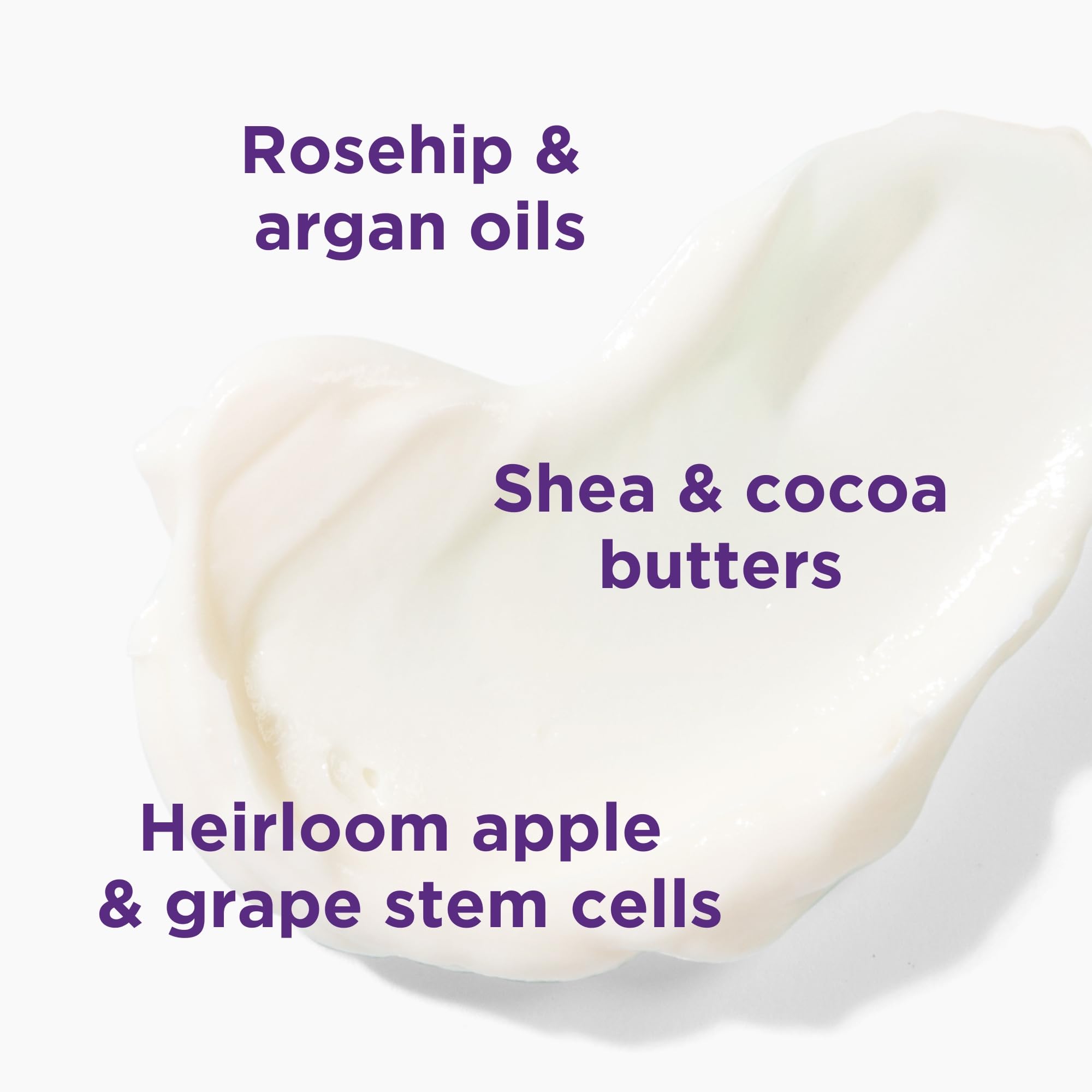 Andalou Naturals Lavender Thyme Body Lotion, Hydrating Moisturizer 8 oz - Andalou Naturals Official Product View 4