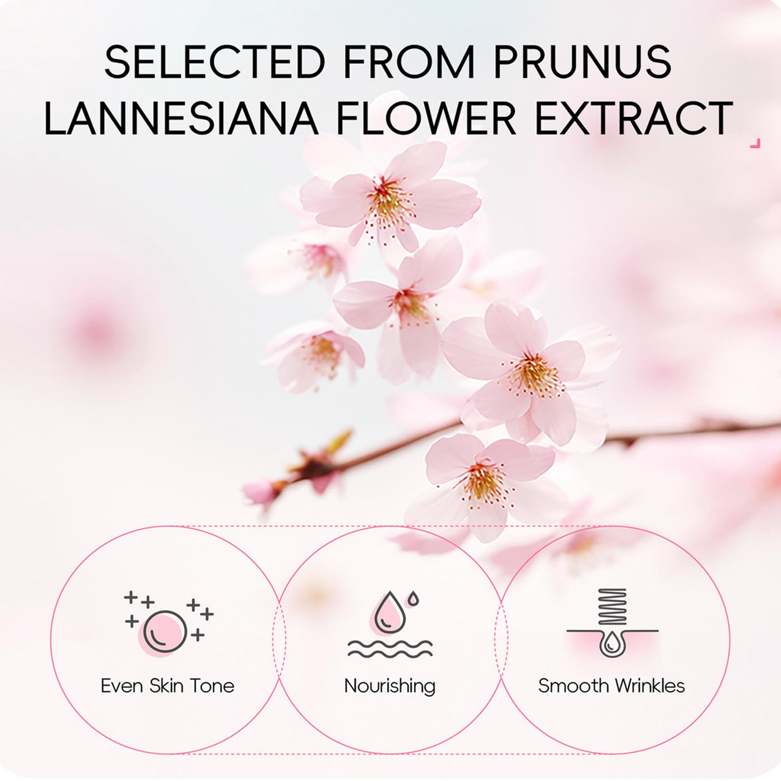 Skin Care Set Sakura Women Beauty Gift Sets Korean Skin Care - Fashion Base