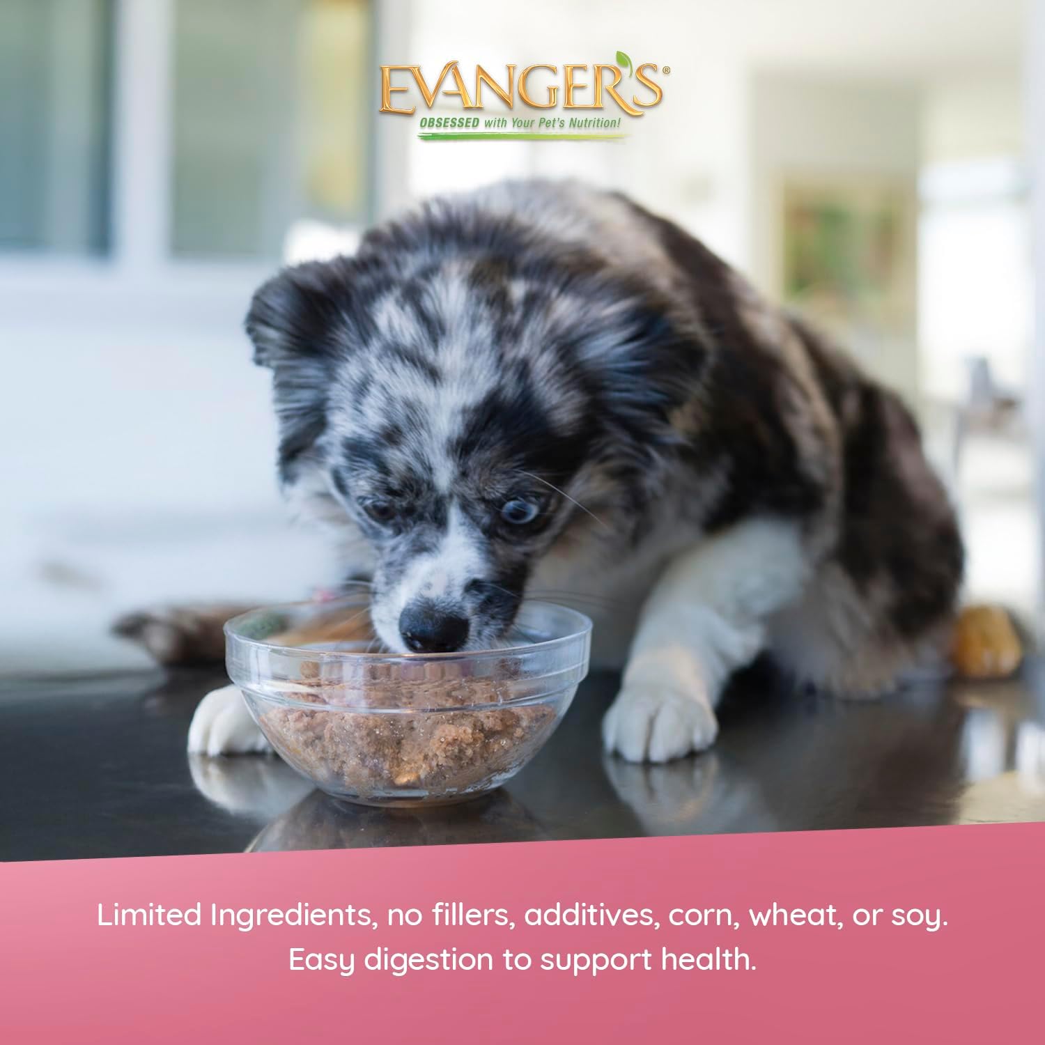 Evanger's Heritage Classic Puppy and Underweight dog food 12-pack, 12.8 oz cans, nutritious meal option for puppies and underweight dogs
