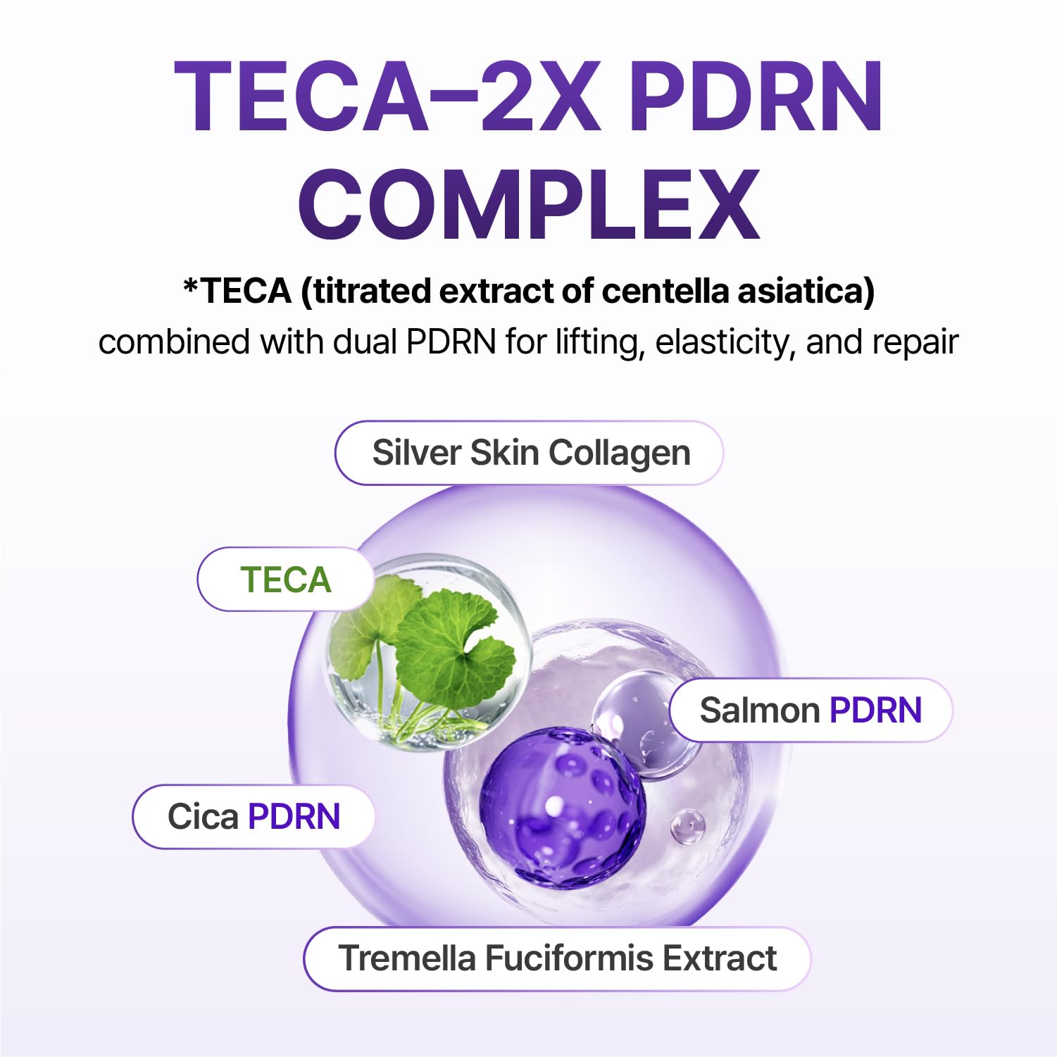 CENTELLIAN 24 360 Shot PDRN Firming Eye Cream, TECA Retinol Care - CENTELLIAN 24 Official Product View 6