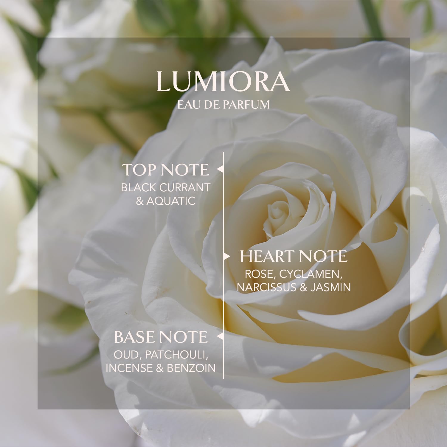 EMBAROUGE Lumiora Eau De Parfum 100ML, Dubai-inspired smoky floral perfume for women with black currant and aquatic notes.