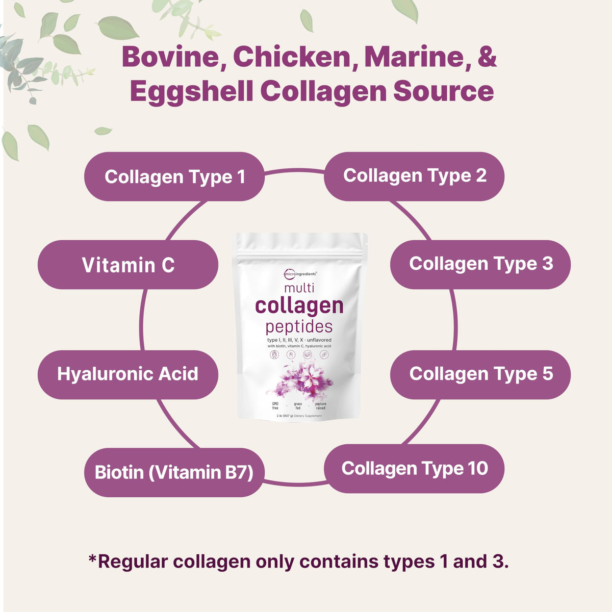 Micro Ingredients Multi Collagen Peptides Powder 2lb - Micro Ingredients Official Imagery - 3