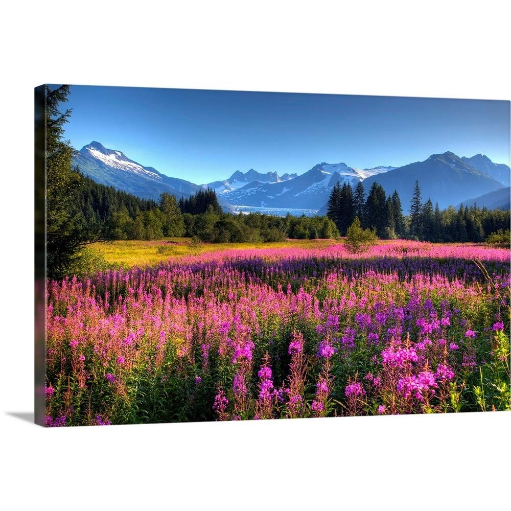 CANVAS ON DEMAND Wildflowers At Mendenhall, Juneau, Alaska - Product Imagery