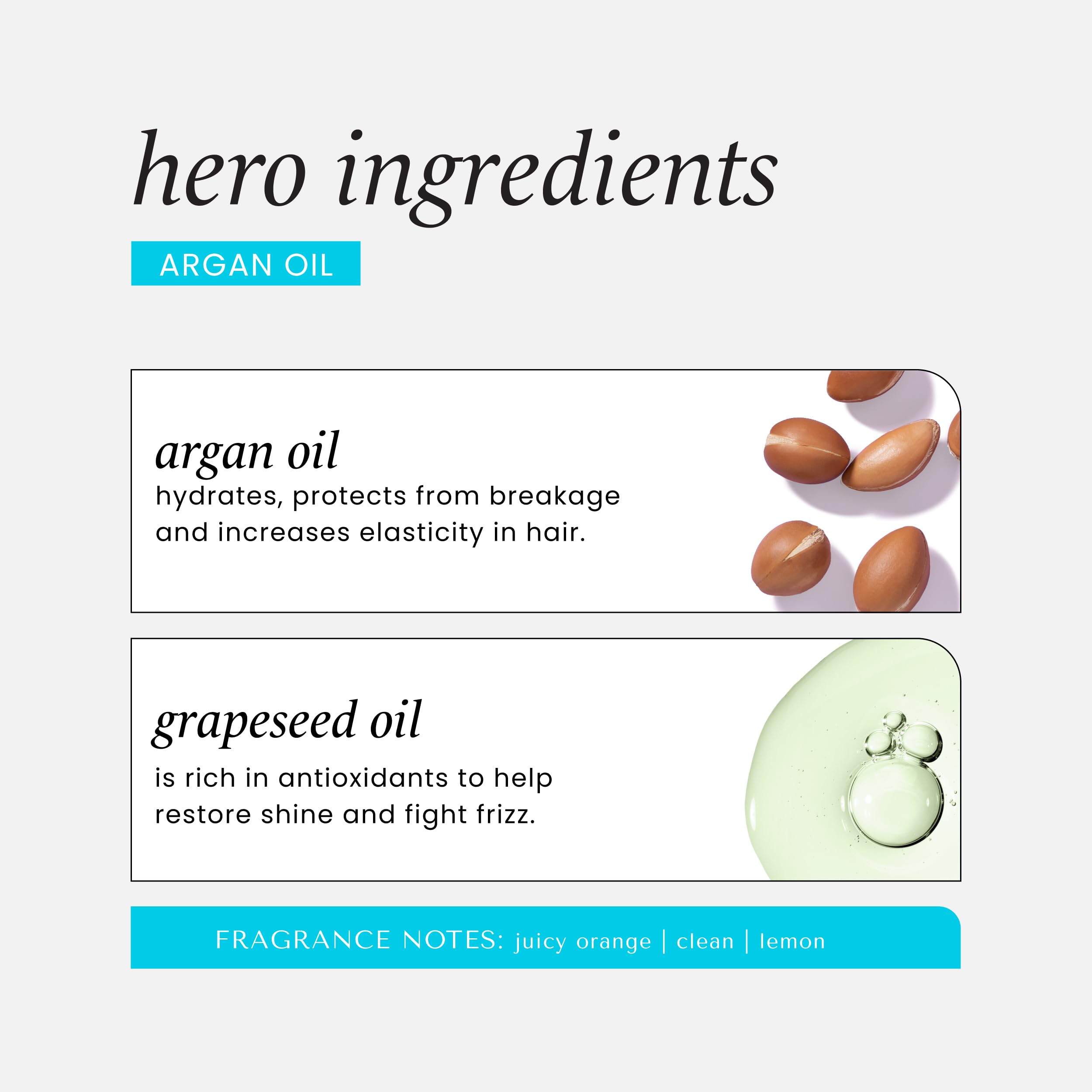 HASK Repair Argan Oil Shine Hair Oil, Pack of 3 - HASK Official Product View 7
