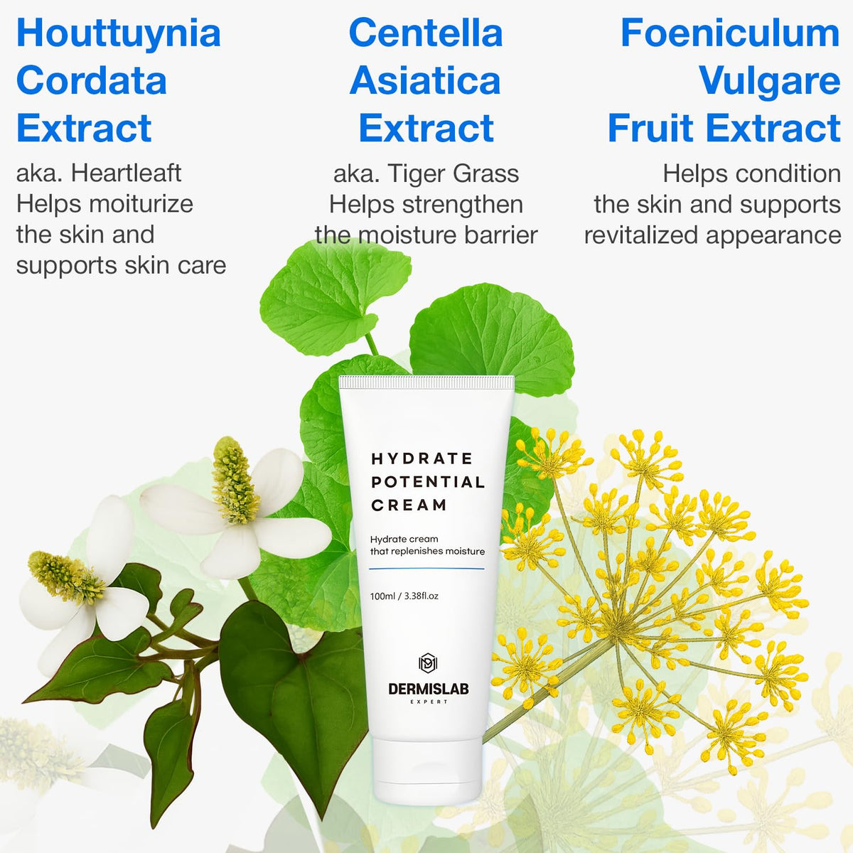 Hydrate Potential Cream Korean Skincare Hyaluronic Acid - DermisLab Official Imagery - 5