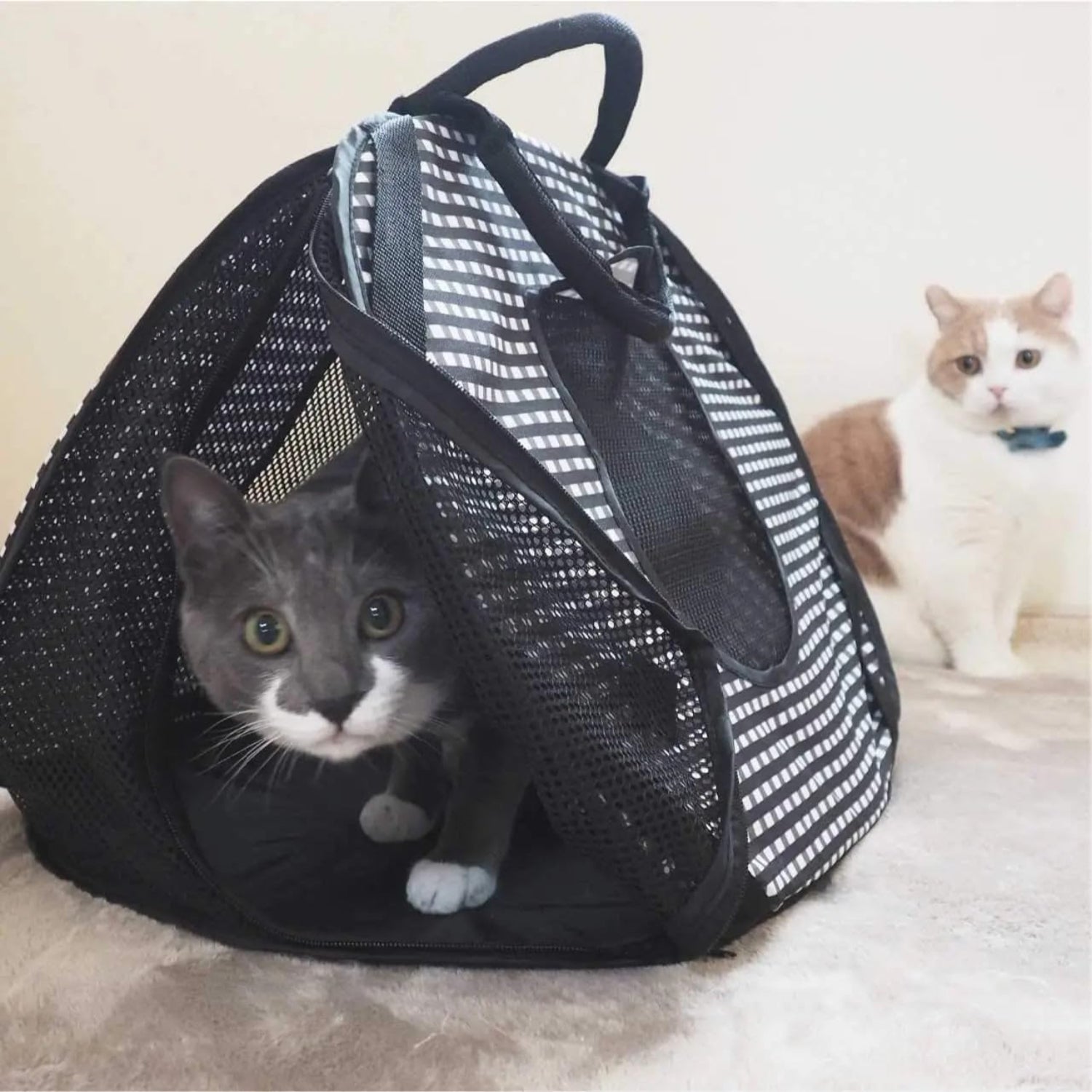 Black Necoichi portable stress-free cage carrier and litter box for cats, suitable for indoor and outdoor travel, large size.