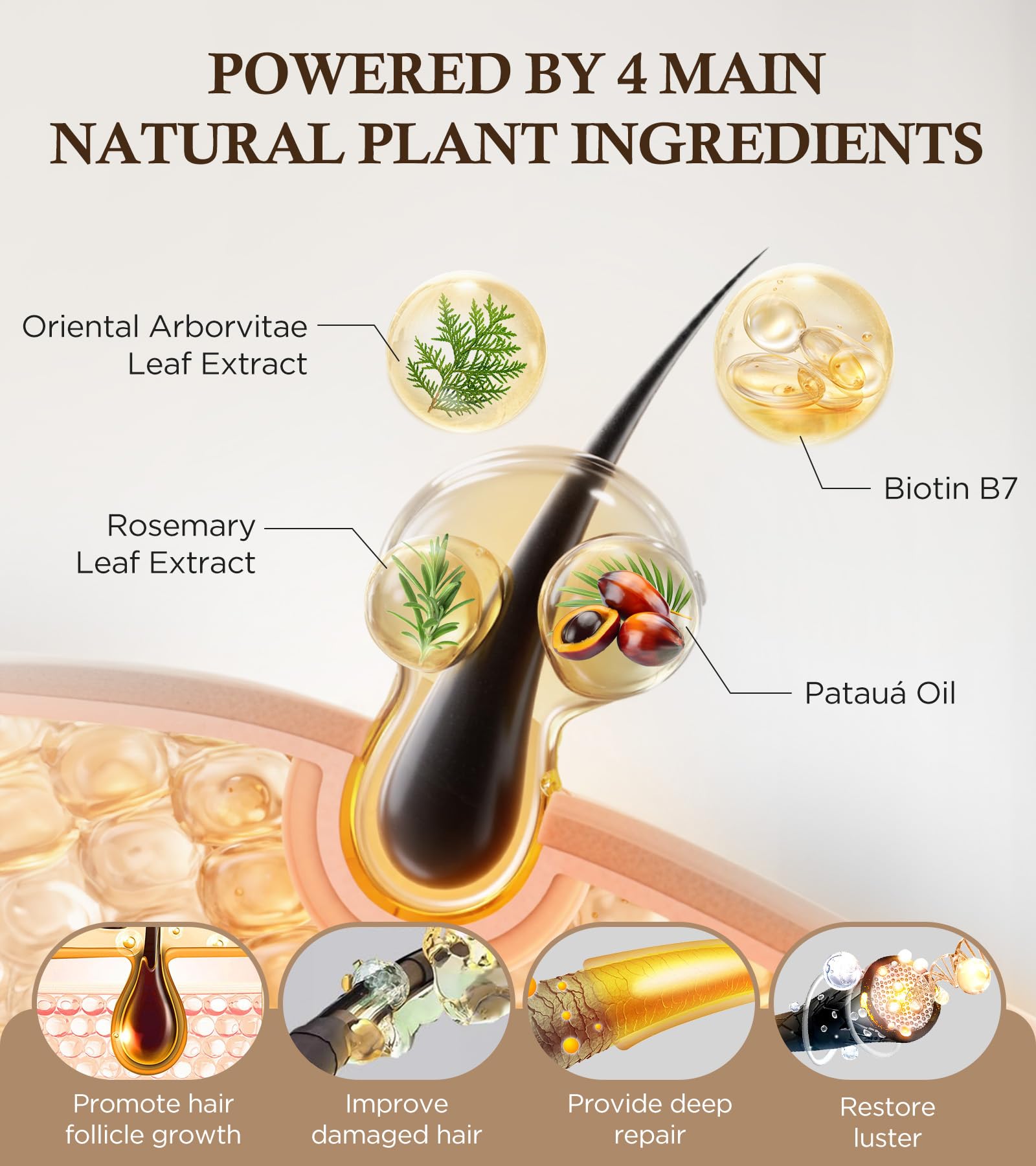 GOWILOVE Biotin Shampoo for 3X Faster Hair Growth, 80% Less Hair Loss w - Thuja - GOWILOVE Official Product View 6