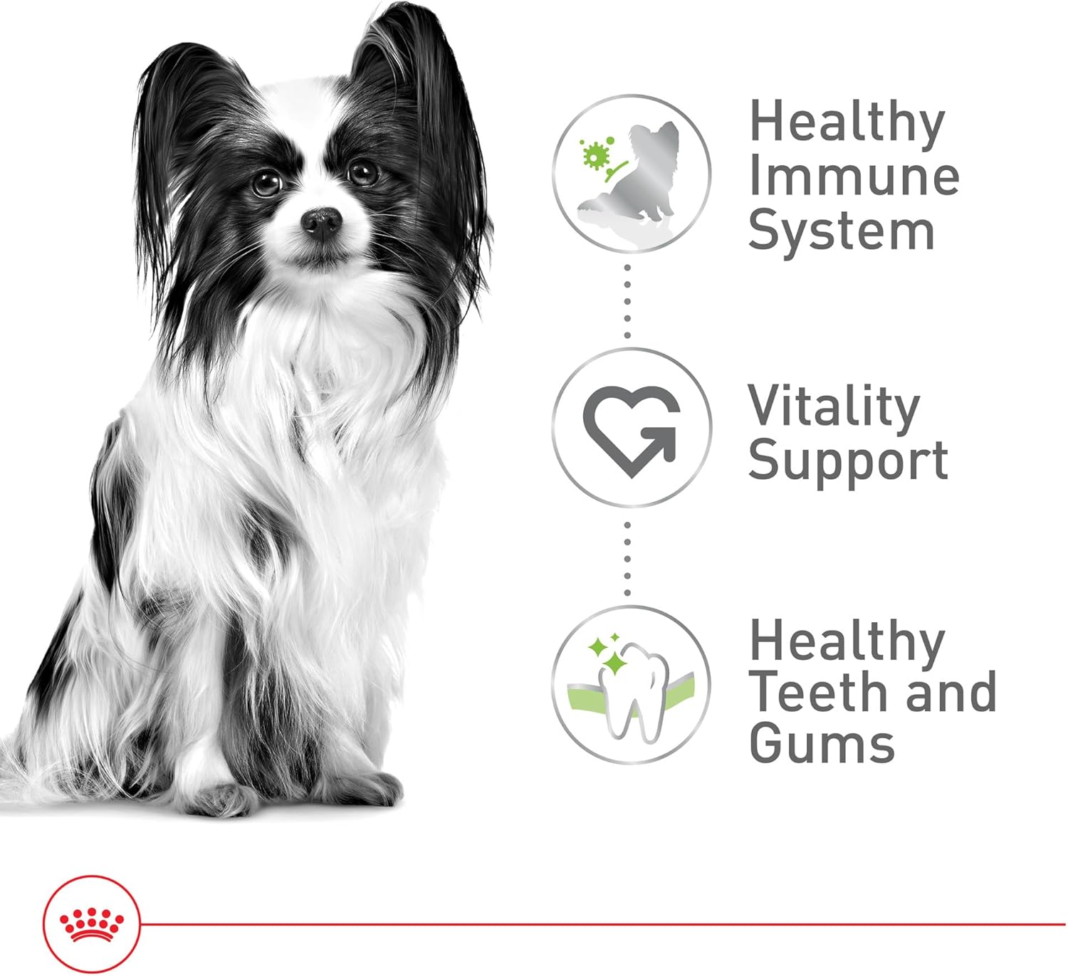 Elefair Royal Canin X-Small Senior Dry Dog Food, 2.5 lb bag, featuring small kibble for elderly small breed dogs.