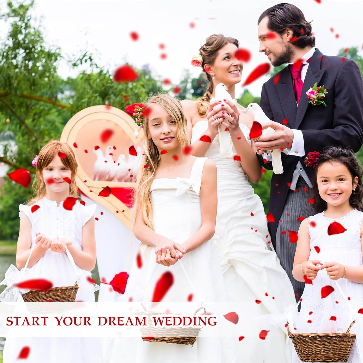 Dried real rose petals from Tavkite, natural preserved dry flower petals for wedding and party decorations.