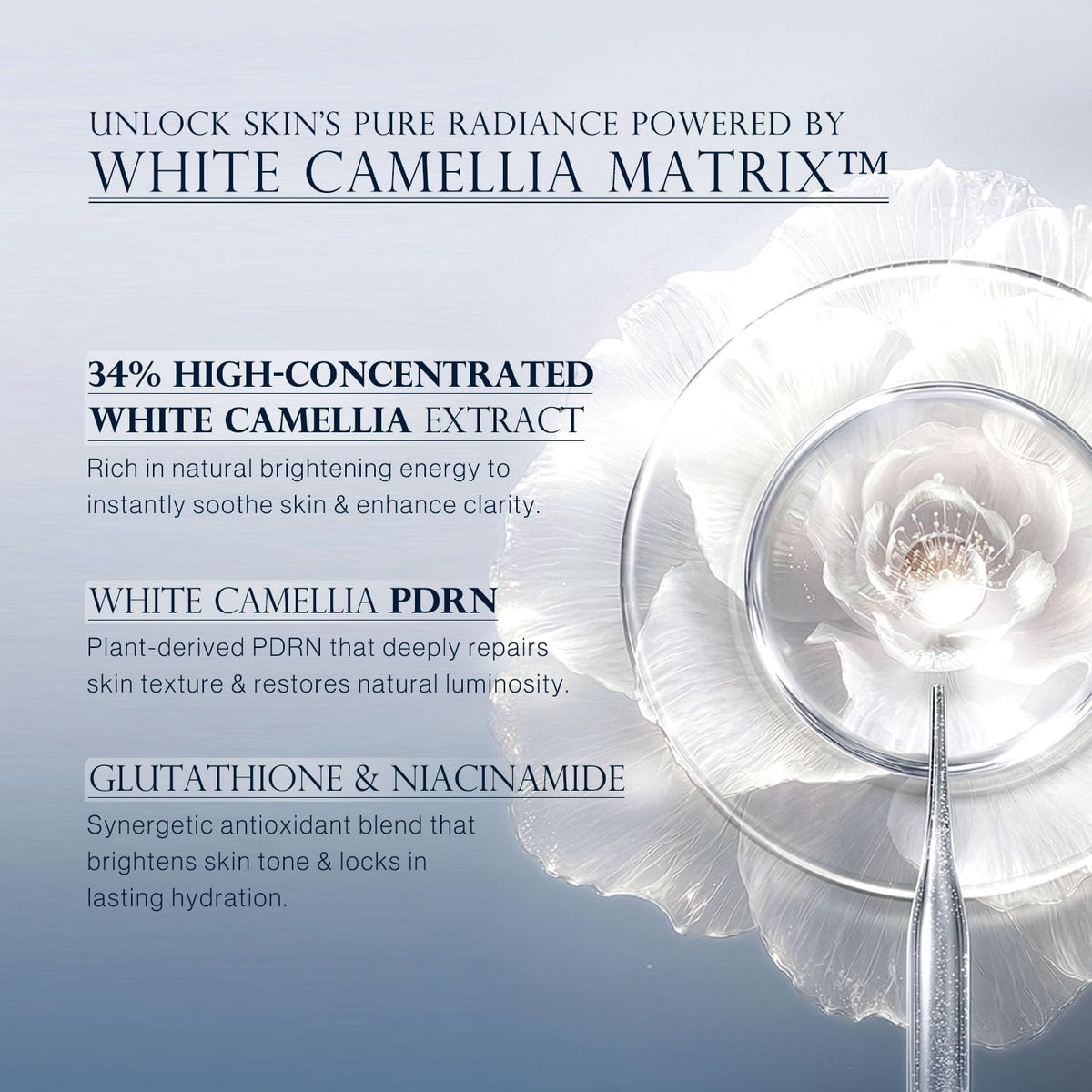 WHITE CAMELLIA Glutathione Core Face Cream 50ml 1 69 fl oz - OHIR Official Imagery - 4