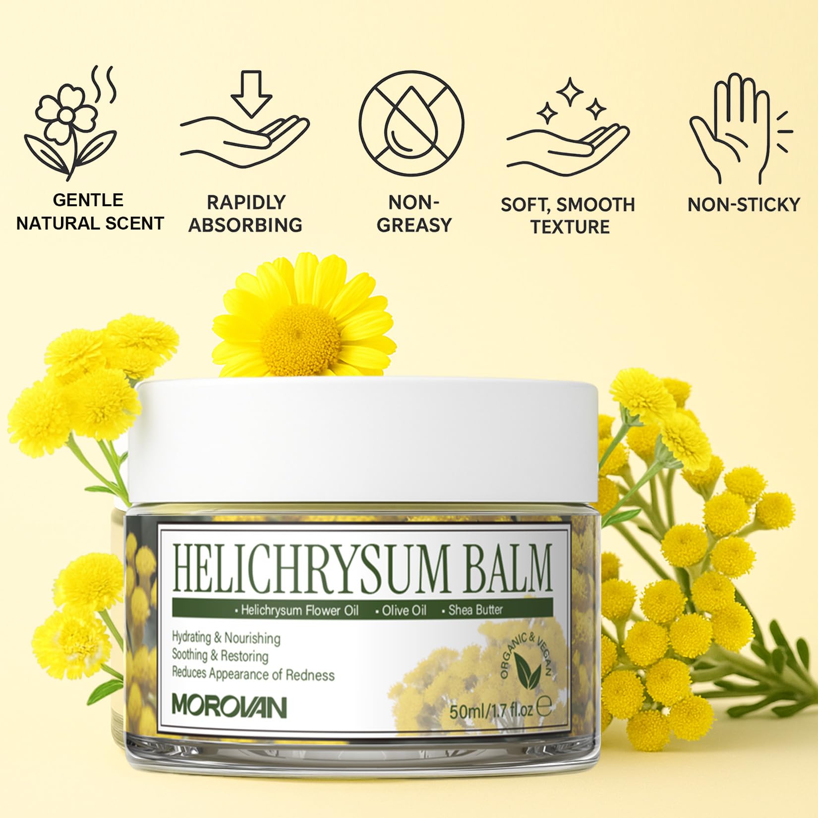 Morovan Helichrysum Bruise Balm skin and muscle relief moisturizer in a jar, with natural ingredients visible.