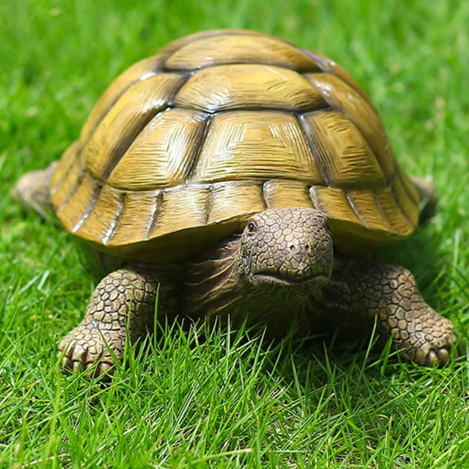 Jumiz turtle garden statue for outdoor yard, patio, pond, or lawn decoration, featuring a detailed indoor tortoise design