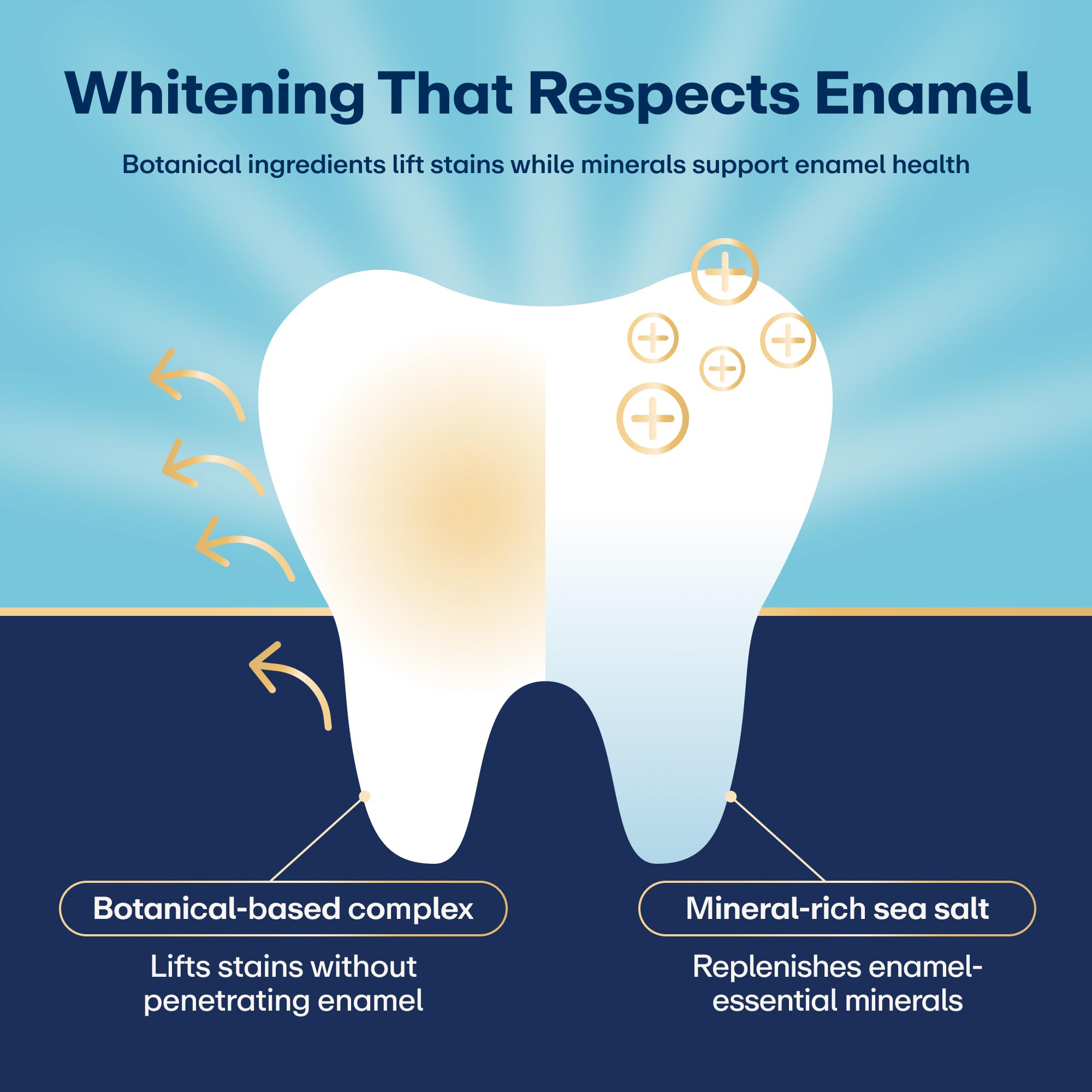 Lumineux Teeth Whitening Strips, Peroxide Free, 9 Treatments (1 Month) - Lumineux Official Product View 3