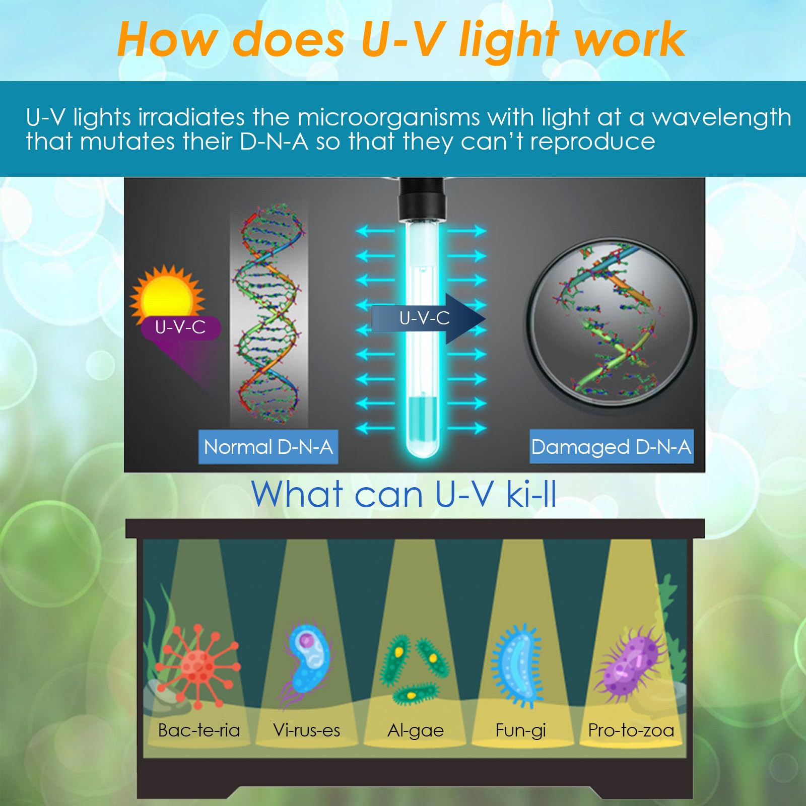 AquaMiracle Aquarium Filter for Green Water, U - V Fish Tank Filt - AquaMiracle Official Product View 5
