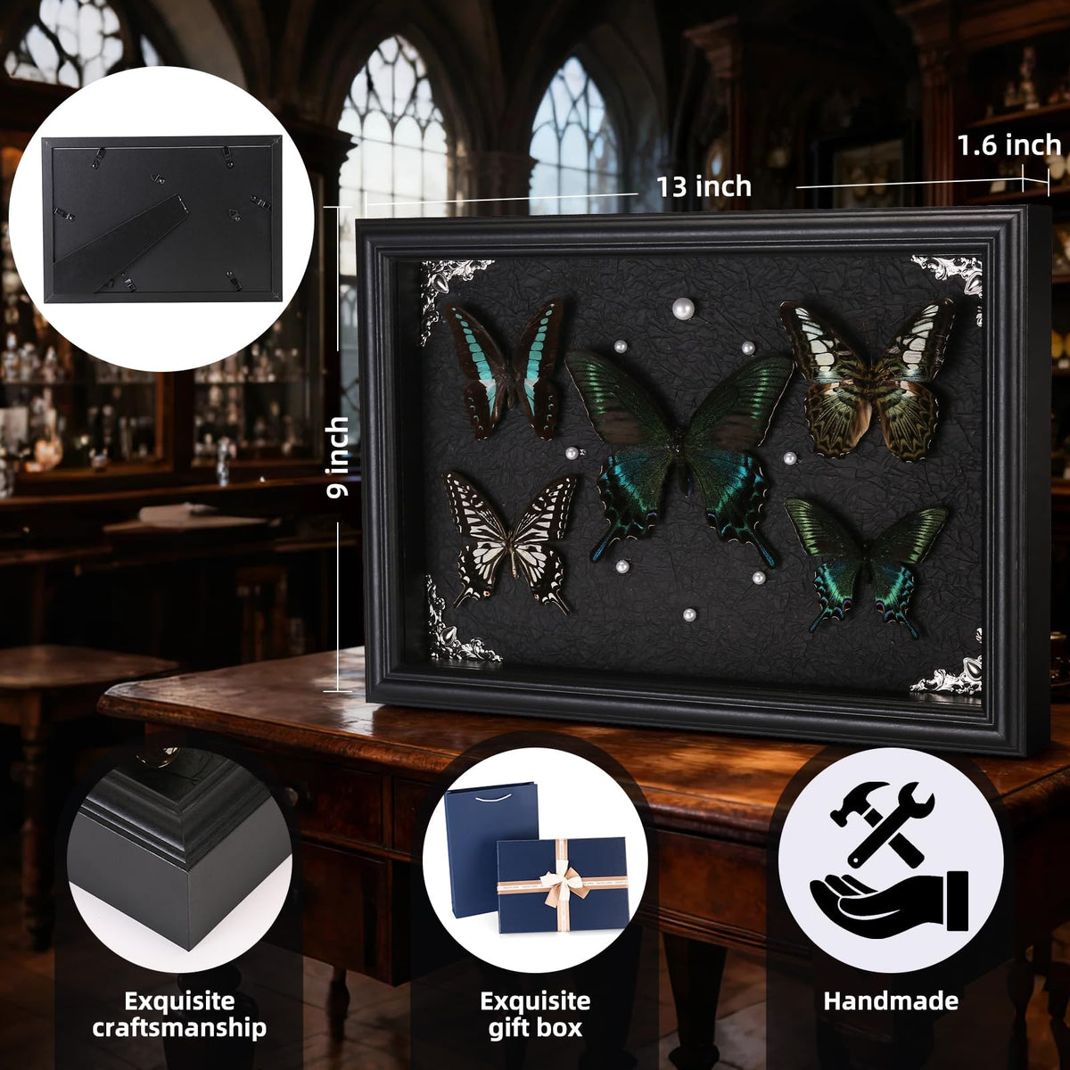 Real Framed Butterfly Taxidermy Collection - Duxjaqu Official Imagery - 4