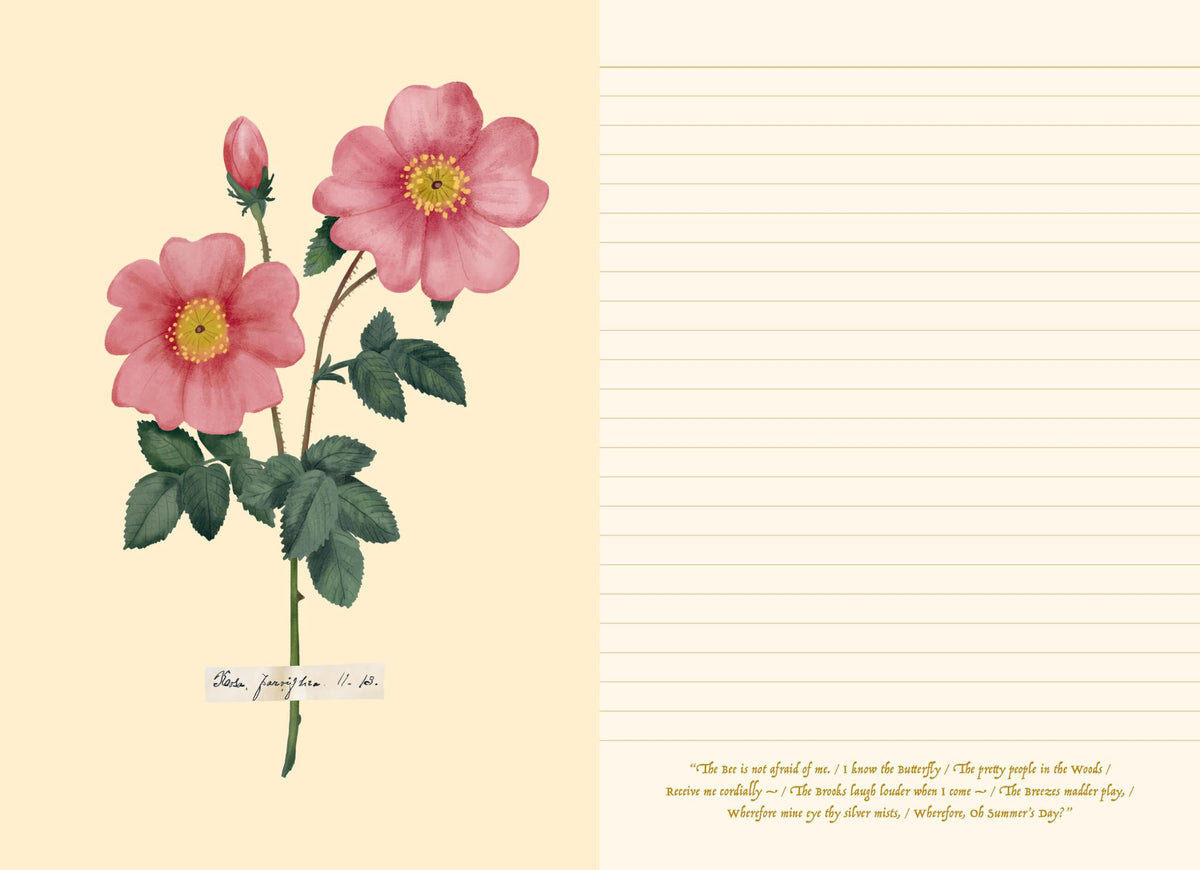 Poetry of Flowers An Emily Dickinson Journal Reflections - by               
		   Emily Dickinson Museum     
       			(Author) 
       	             Format: Hardcover Official Imagery - 7