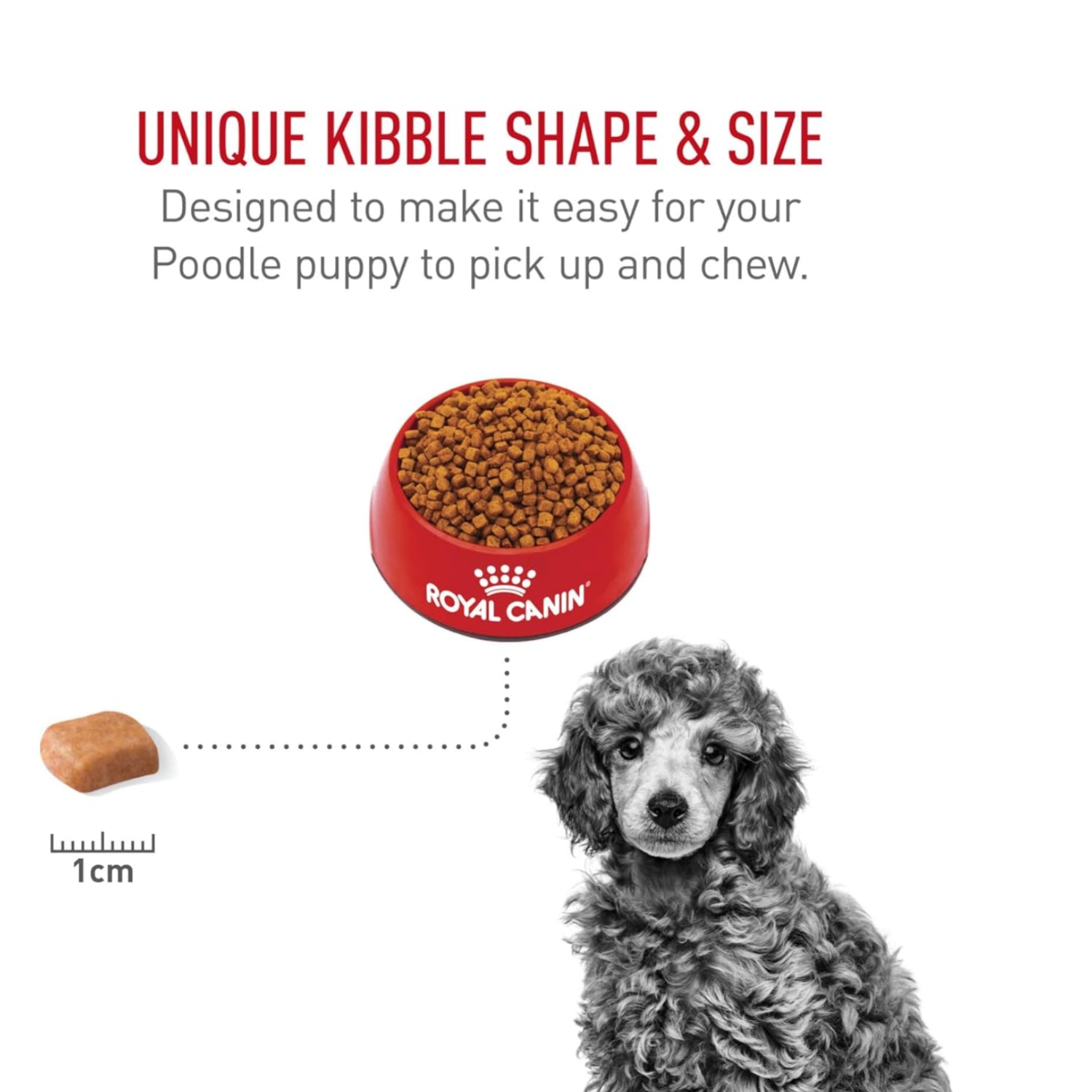 Elefair Royal Canin breed health Poodle puppy dry dog food in a 2.5 lb bag, featuring tailored nutrition for Poodle puppies.