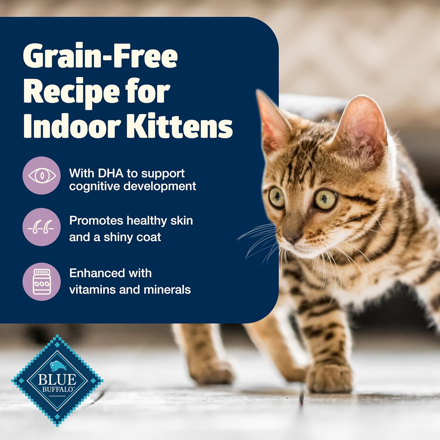 Blue Buffalo Freedom grain-free kitten wet cat food in a can, featuring balanced nutrition and a blue label with kitten imagery.