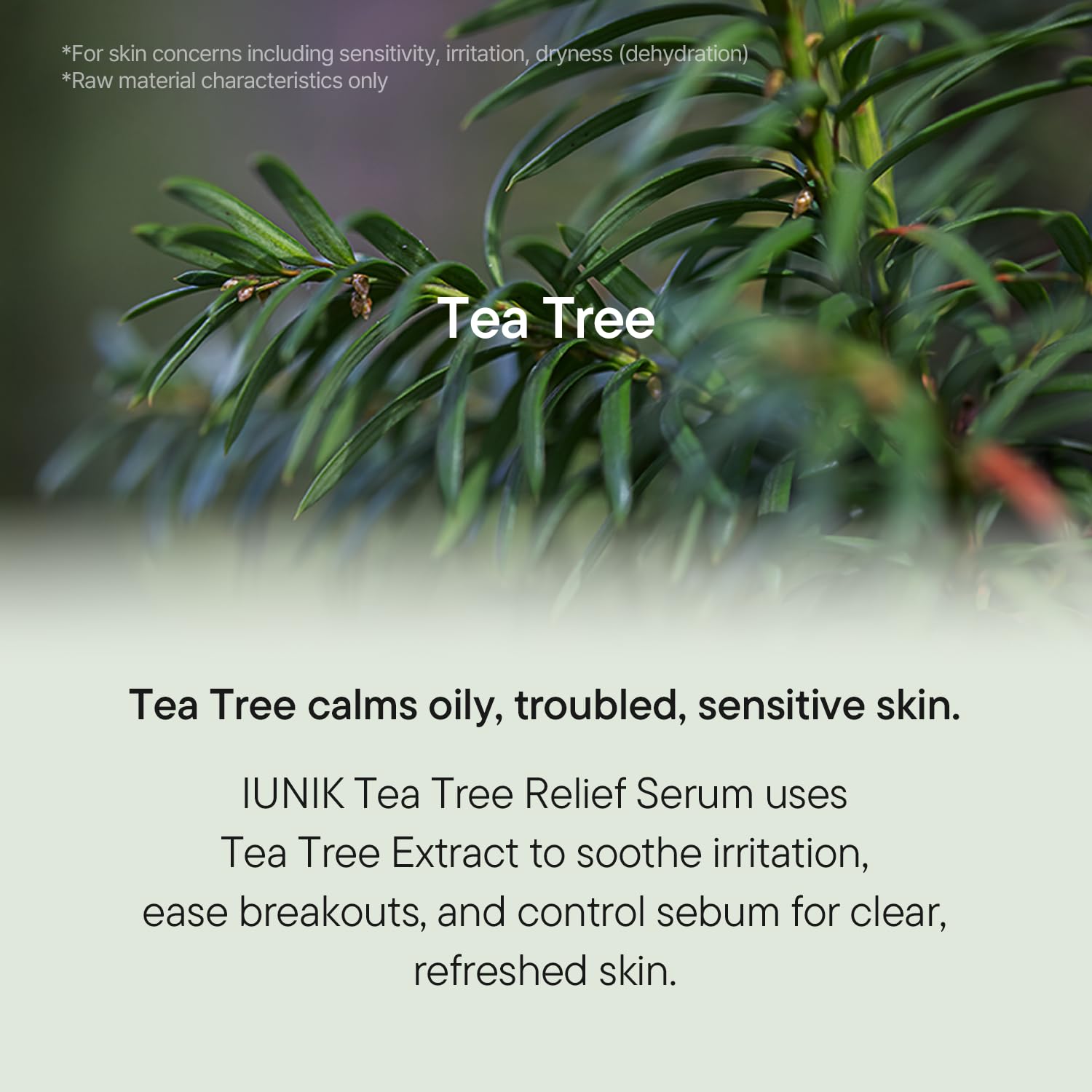 IUNIK Tea Tree Relief Serum Calming Ampoule in a clear glass bottle with dropper for soothing skin care.