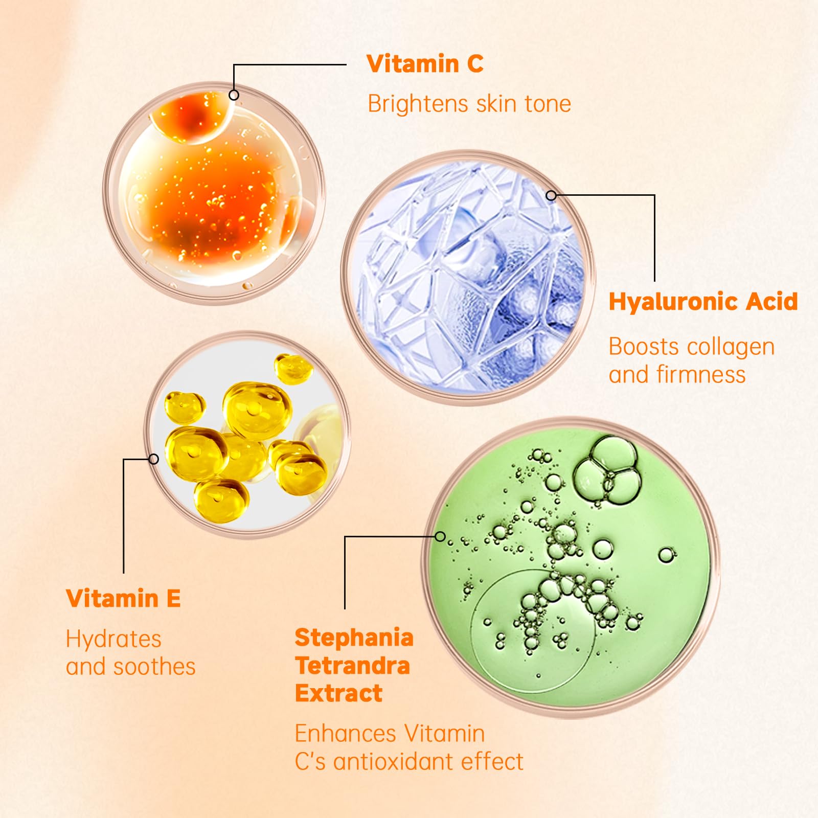 VGO Vitamin C Serum for Face Vit C Anti Aging Serum with - VGO Official Imagery - 3