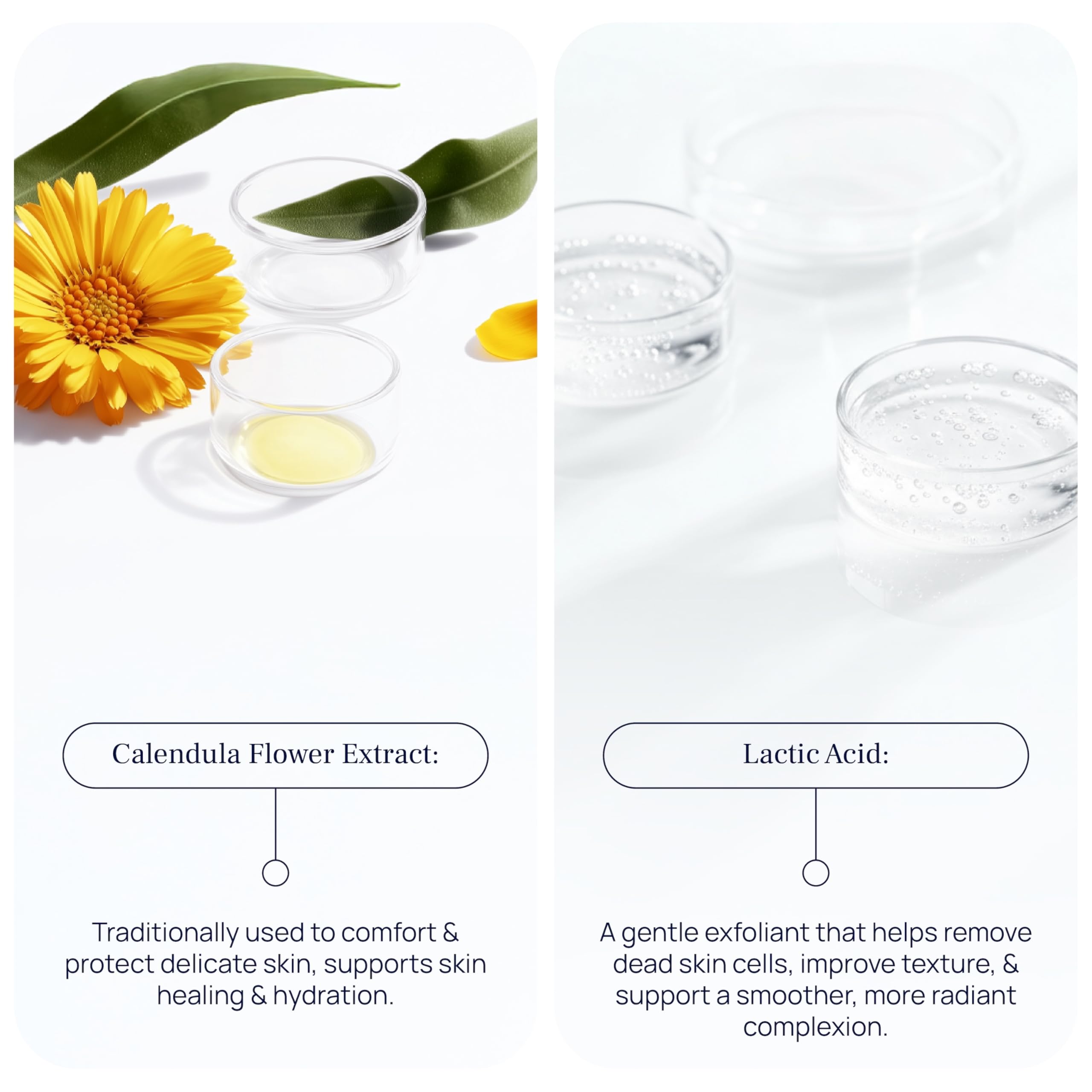 PUREANCE Cleansing Foam - PUREANCE