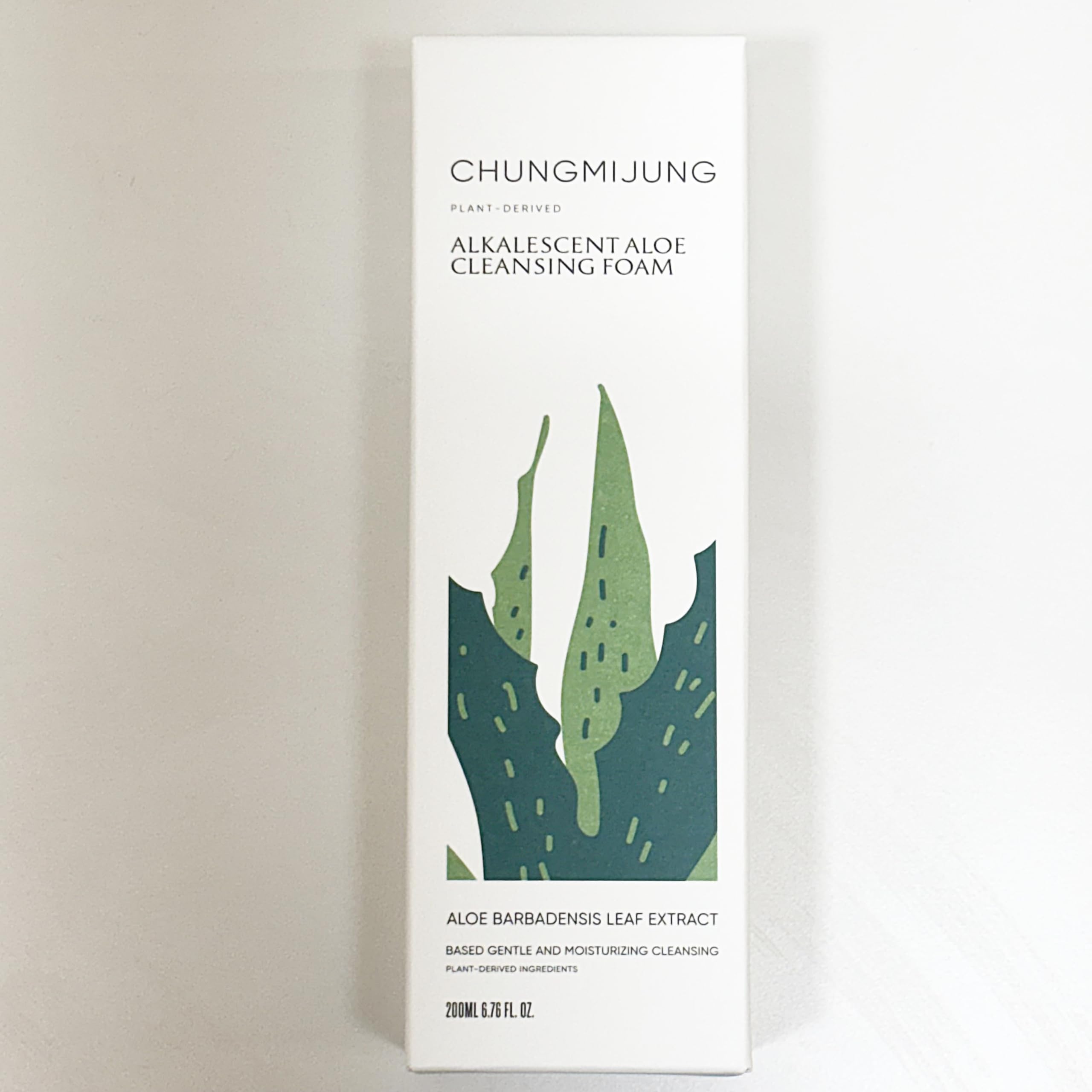 Alkalescent Aloe Cleansing Foam, Deep Cleansing Foam, Blackhead - ChungMiJung