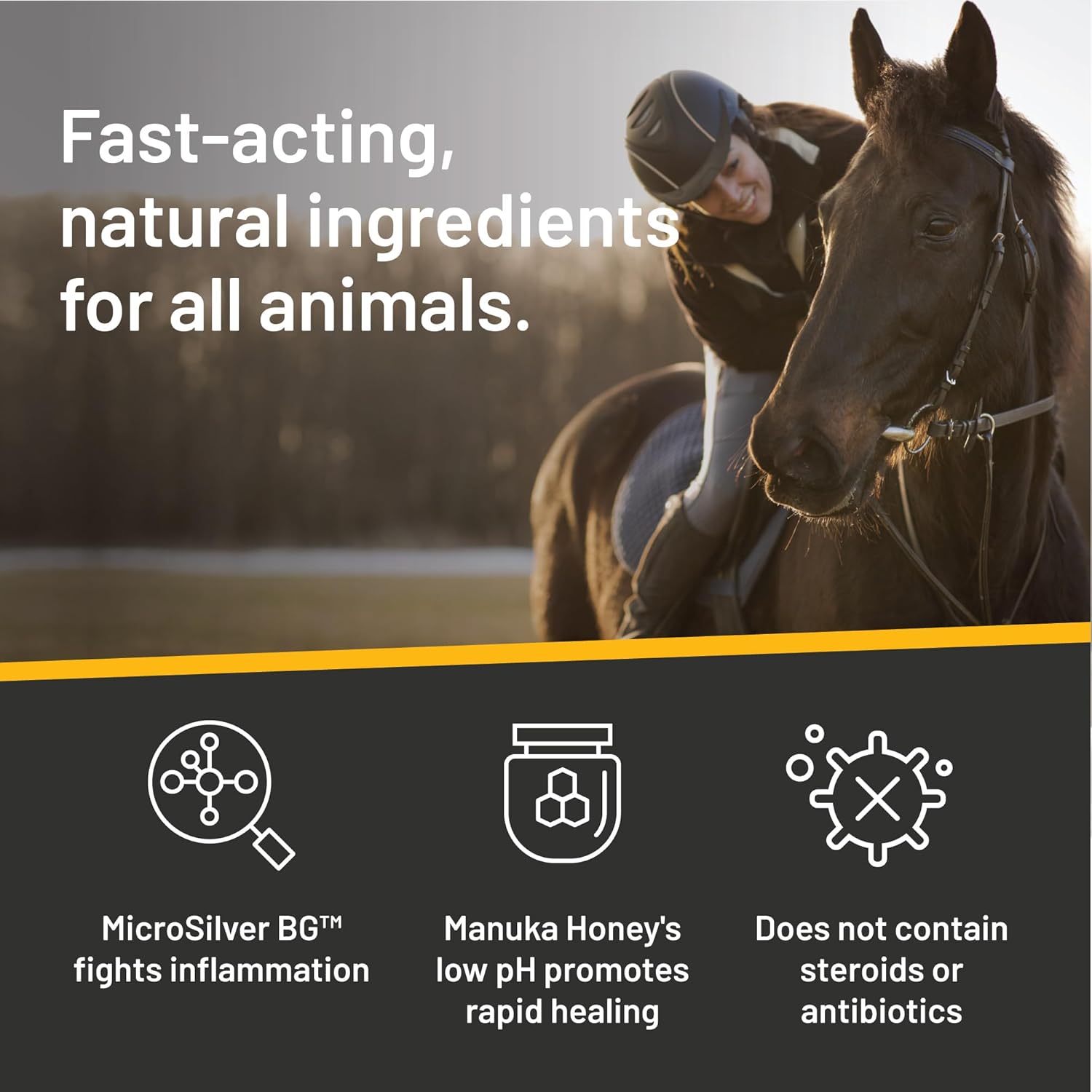 Silver Honey Absorbine Silver Honey Rapid Wound Repair Ointment 2oz tube with Manuka honey for healing and skin care.