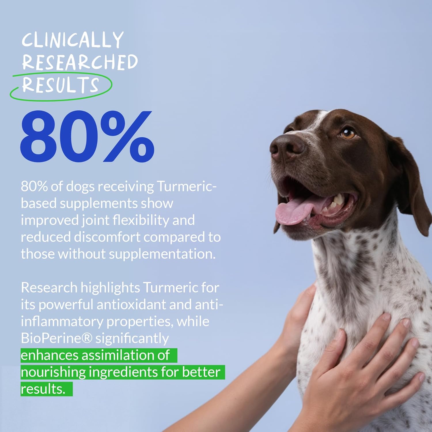 Coco and Luna turmeric chewable tablets for dogs, 120 anti-inflammatory pain relief chews with natural ingredients