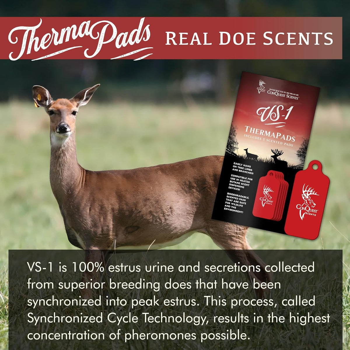 Conquest Scents ThermaPads Deer Attractant Hunting Scent - Conquest Scents Official Imagery - 3
