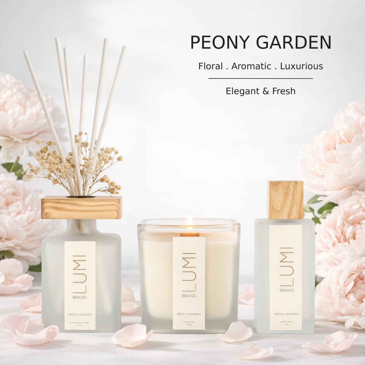 Luxury Aroma Gift Set - Lumi Brand Official Imagery - 5