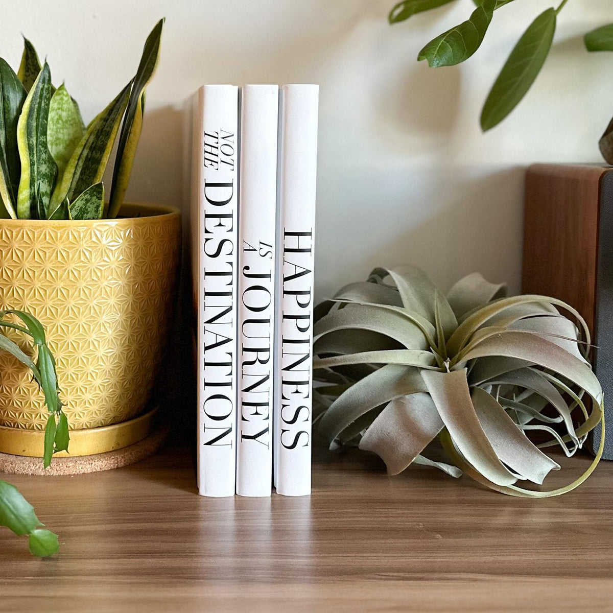 Decorative Books for Home Decor - ROOMICLE Official Imagery - 8