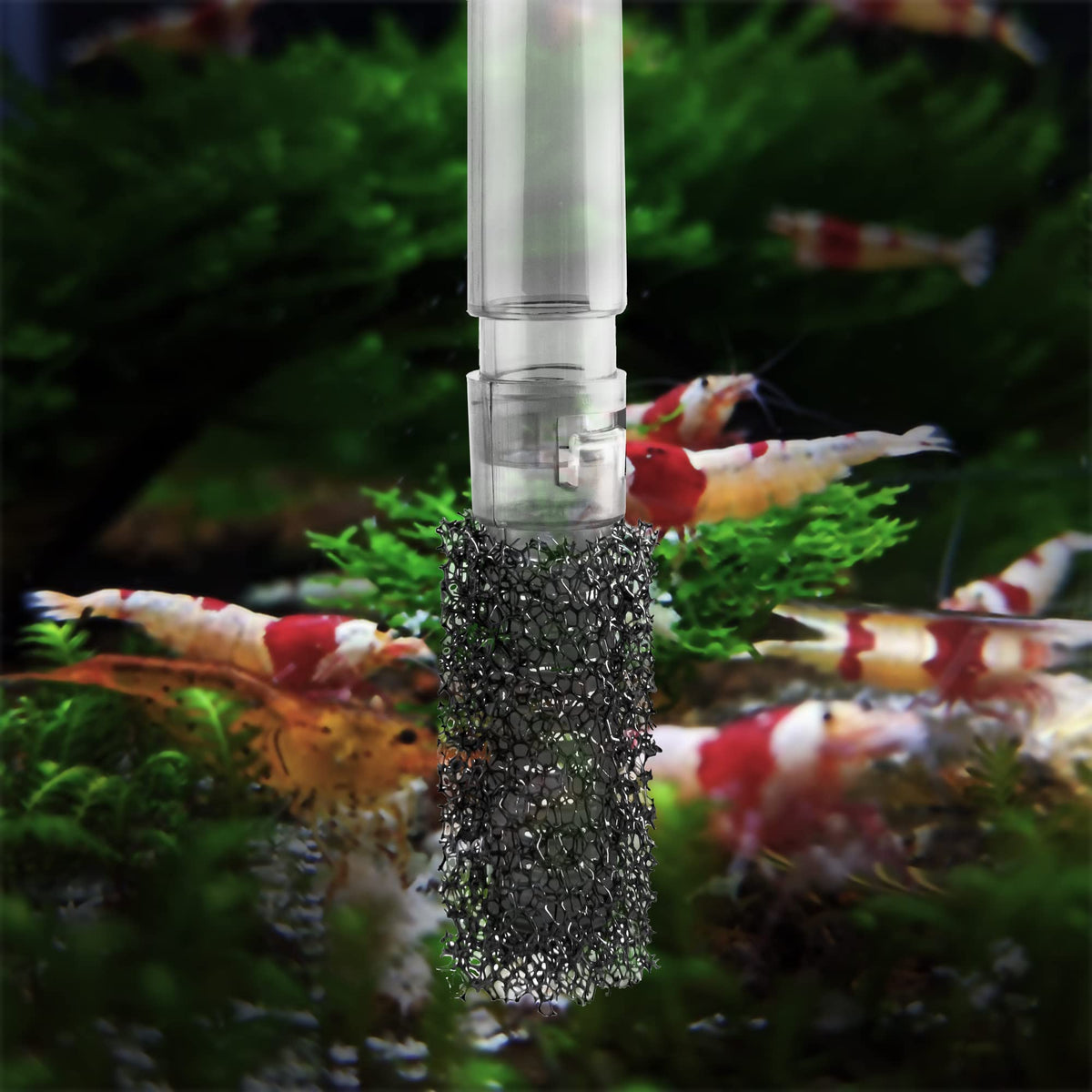 Aquatop Forza 80 GPH Power Filter for Aquariums 15 25 Gal - Aquatop Official Imagery - 7