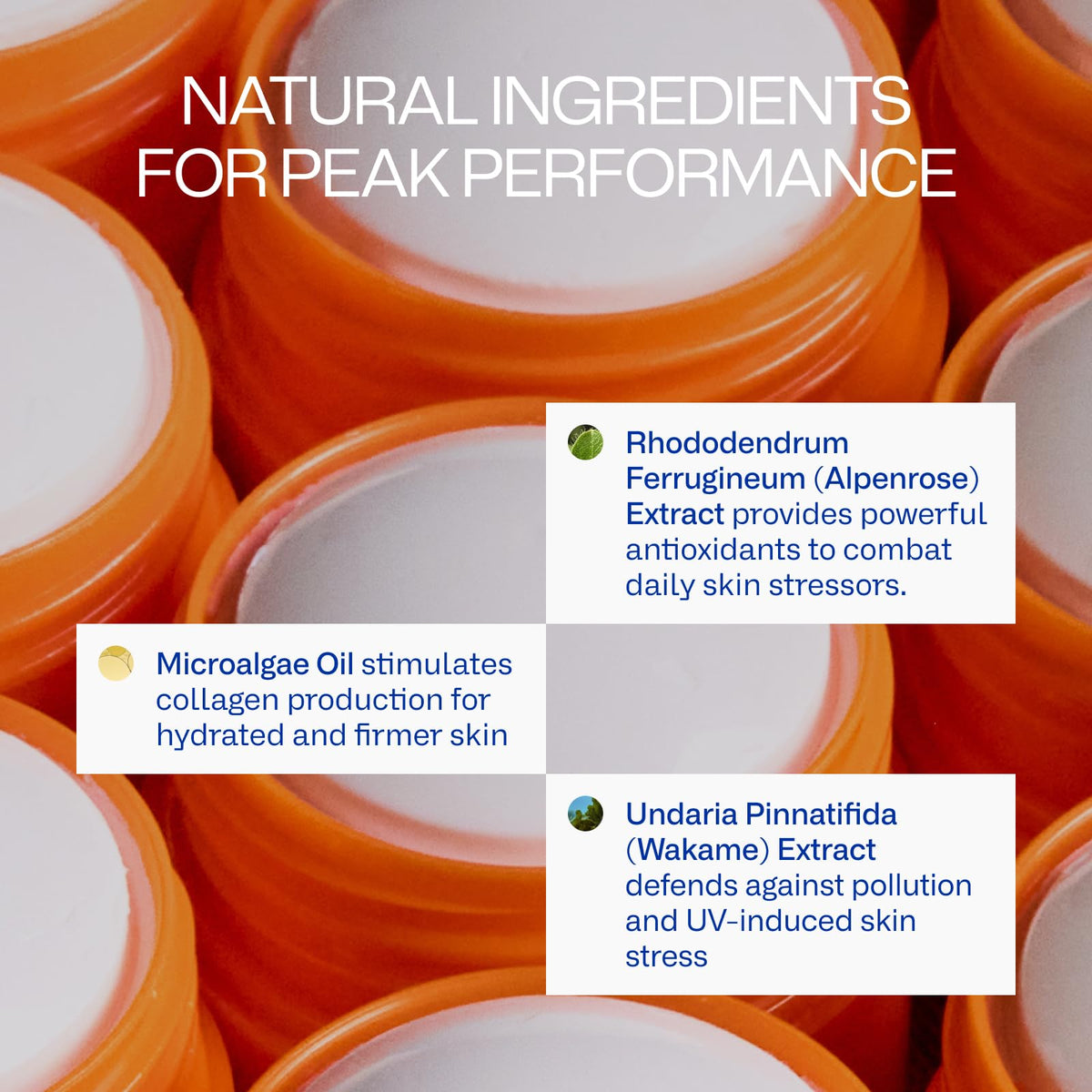 Freaks of Nature Peak Performance Sun Stick SPF 50 Face - Freaks of Nature Official Imagery - 5