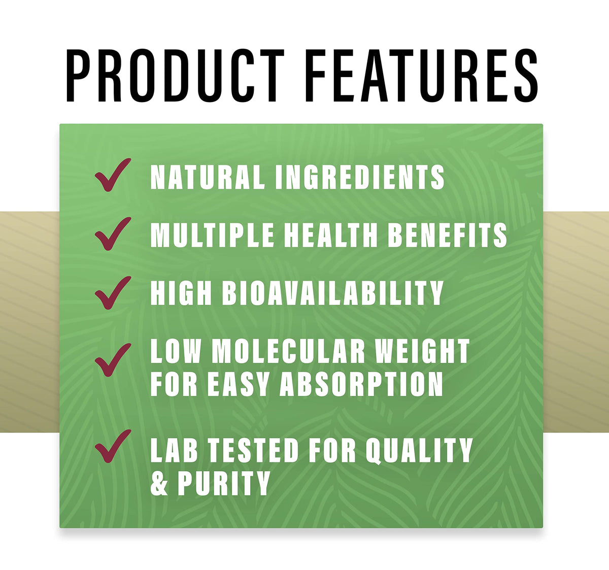 Perfect Supplements Perfect Hydrolyzed Collagen Powder 660 - Perfect Supplements Official Imagery - 6