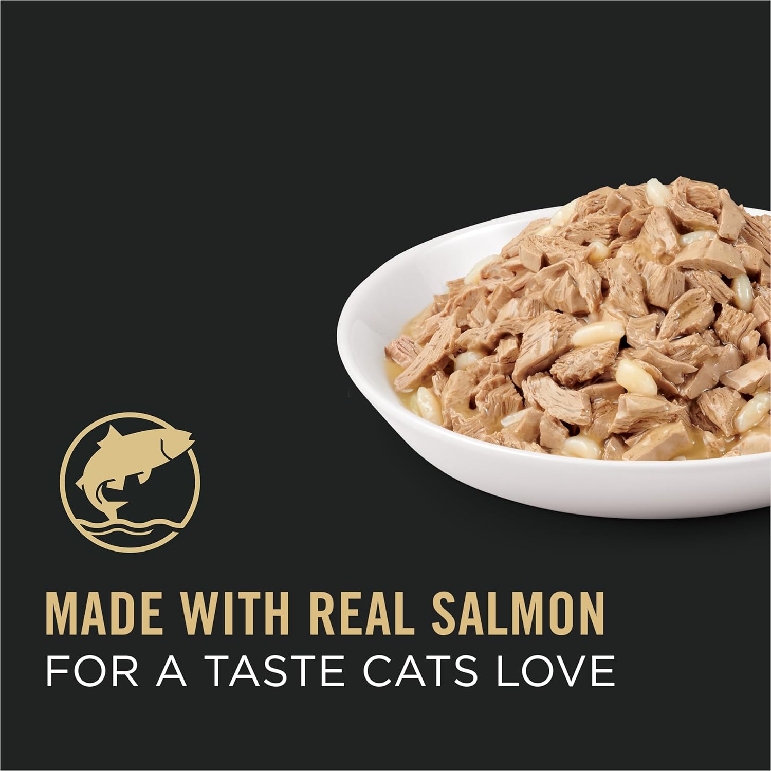Elefair Purina Pro Plan Gravy Pate high protein wet cat food with salmon, complete essentials for cats.