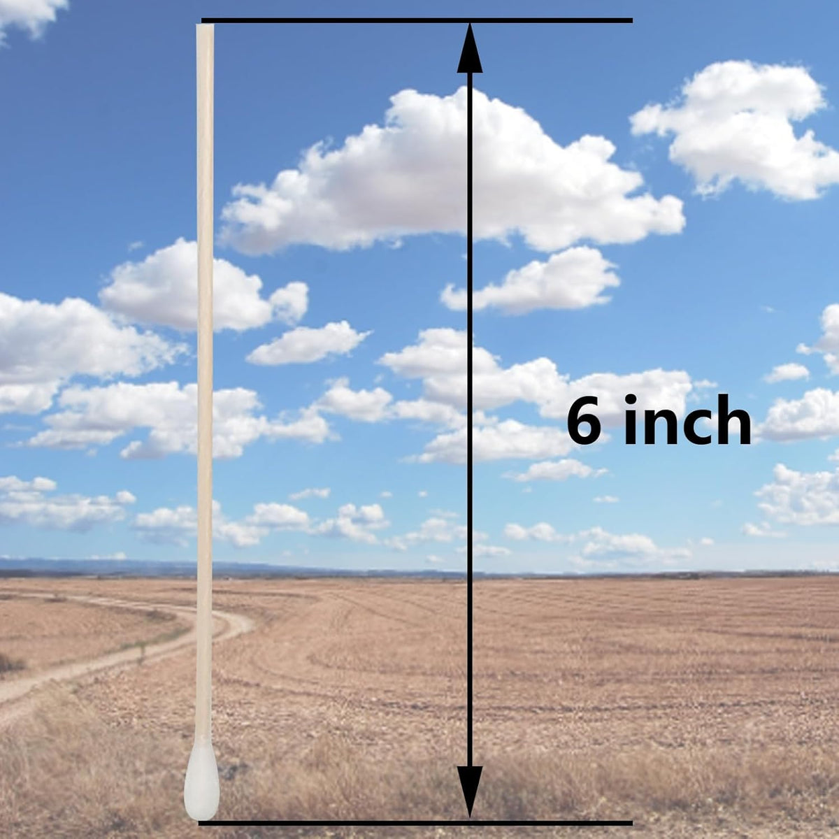 6 Inch Long Cotton Swabs with Wooden Handle 2000pcs - SUIZWMOU Official Imagery - 3