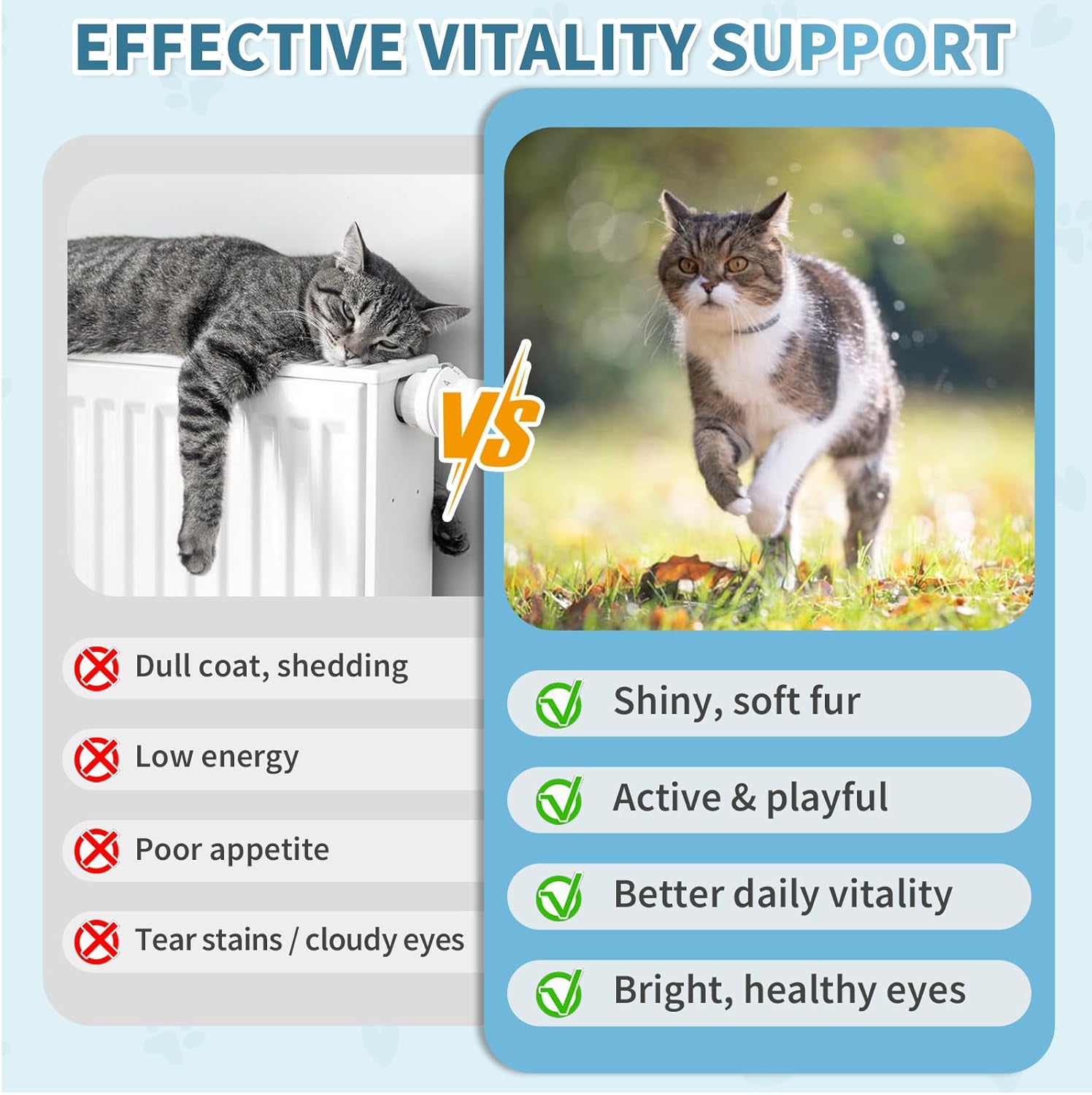 Cudory taurine cat treats and multivitamin snacks in a 90-day supply, featuring crunchy texture and vibrant packaging.