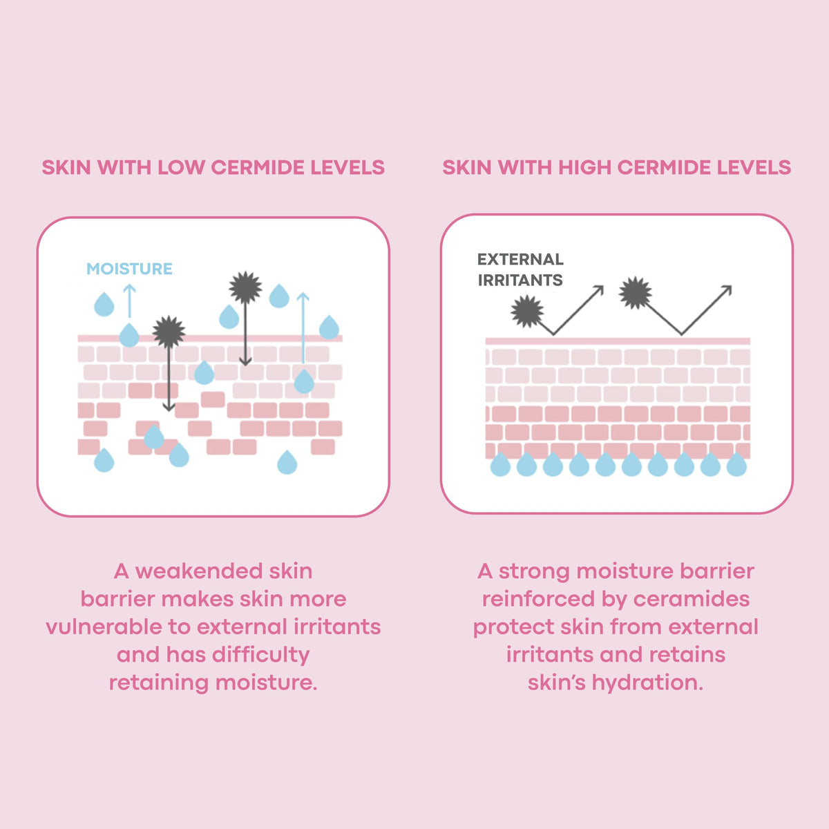TONYMOLY Wonder Ceramide Mochi Milky Toner Hydrating Barrier - TONYMOLY Official Imagery - 8