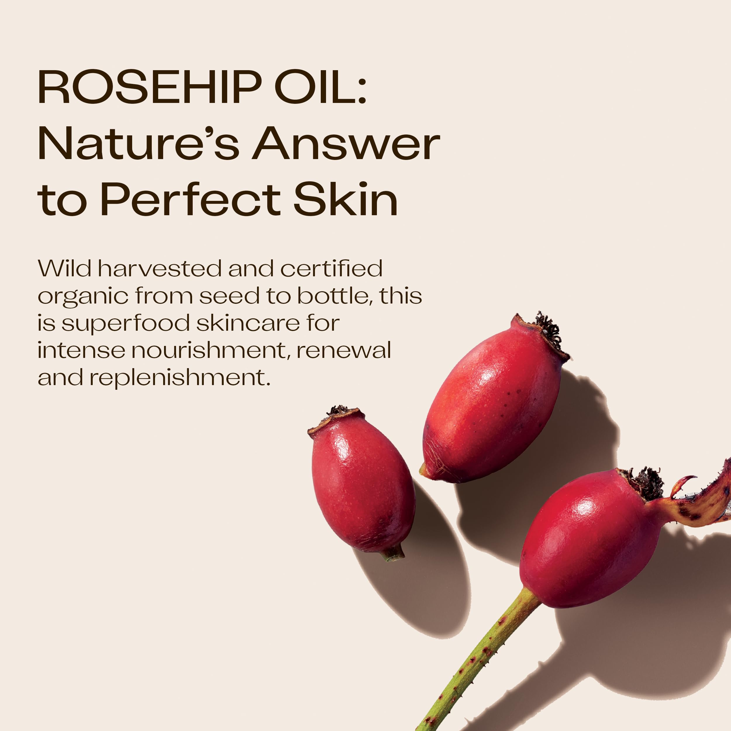 Trilogy Instant Glow Rosehip Oil with Mica & VanilleActiv2, 1 Fl Oz - Trilogy Official Product View 8