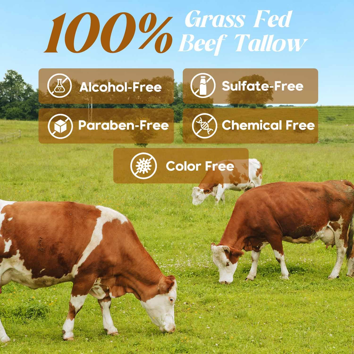 Hicream Beef Tallow for Skin, Beef Tallow and Honey Balm, 100% Or - Hicream Official Product View 6