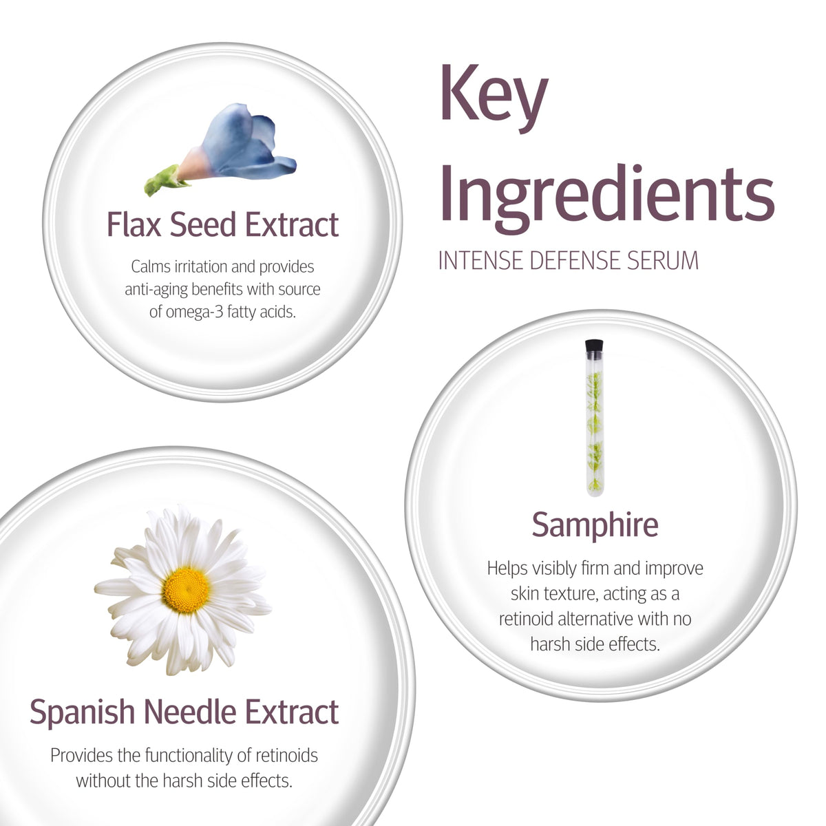 Epionce Intense Defense Serum Anti Aging Facial Serum - Premium Selection Official Imagery - 6
