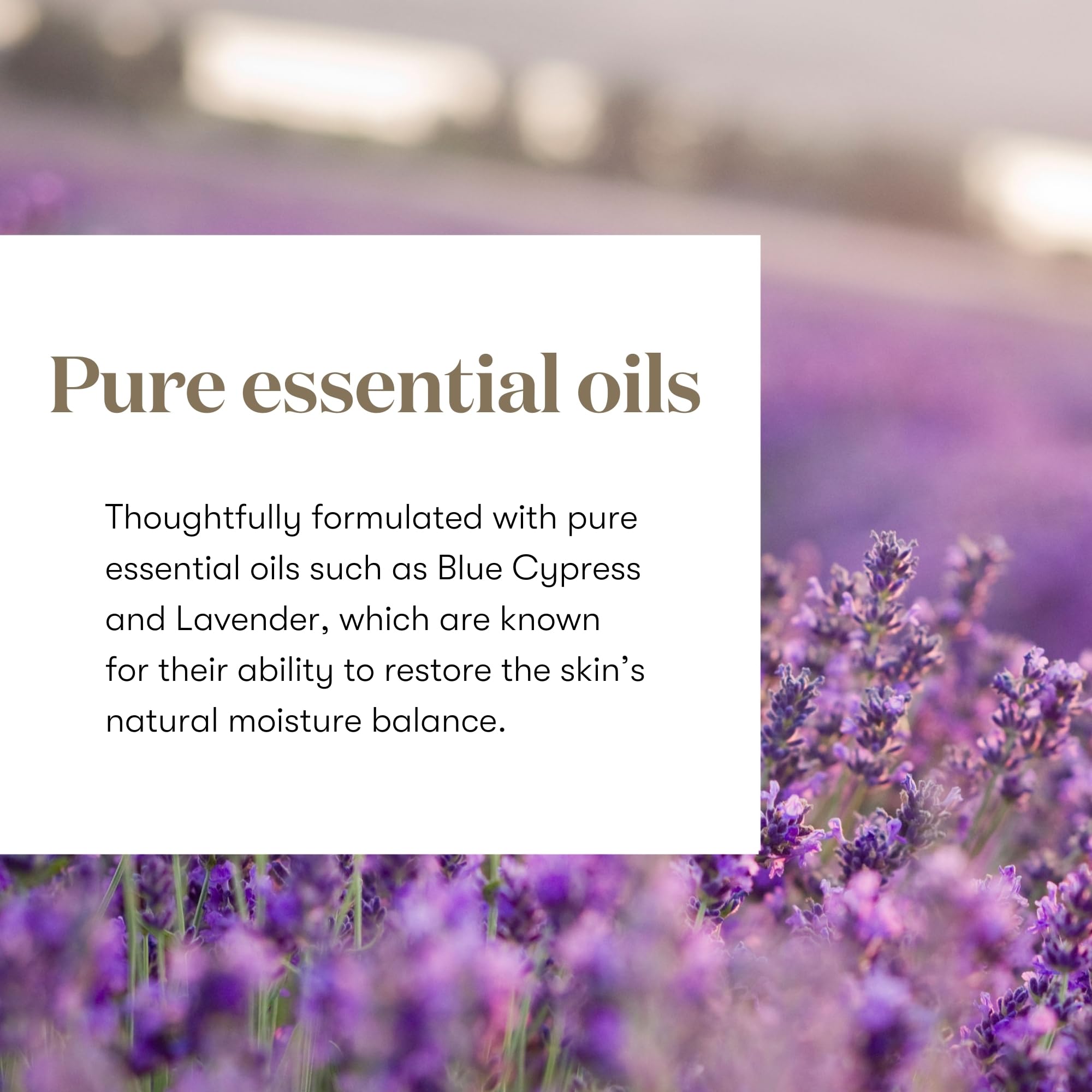 Young Living Essential Beauty Serum (Dry), 15ml - Young Living
