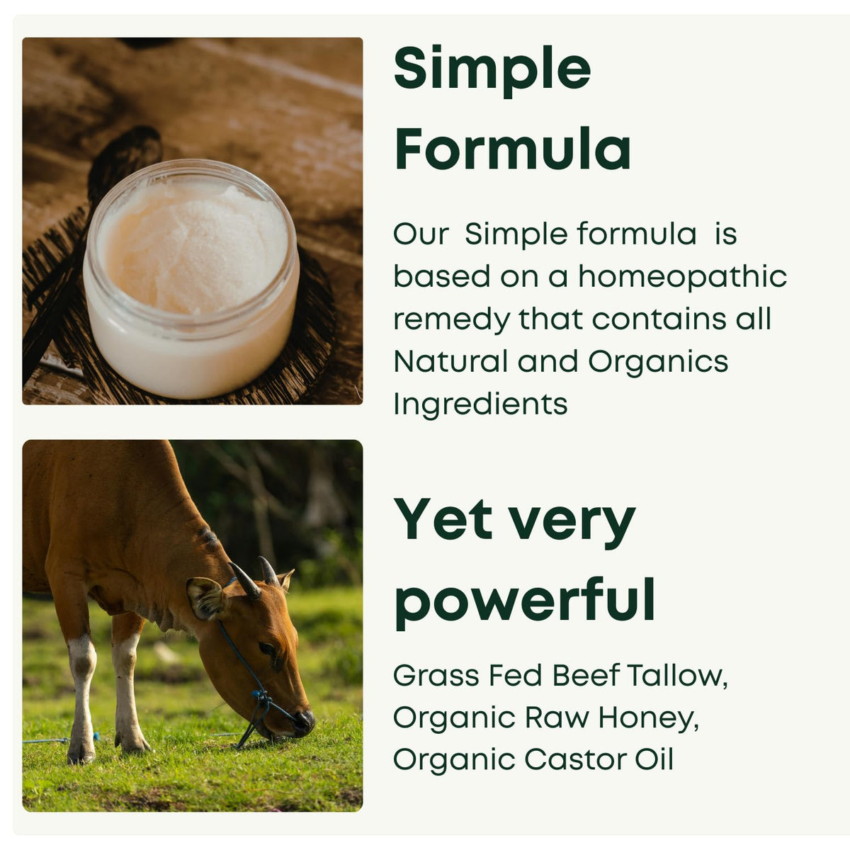 Tallow Honey Balm 2 oz Organic Raw Honey Castor Oil Grass - Florida Barn Official Imagery - 5