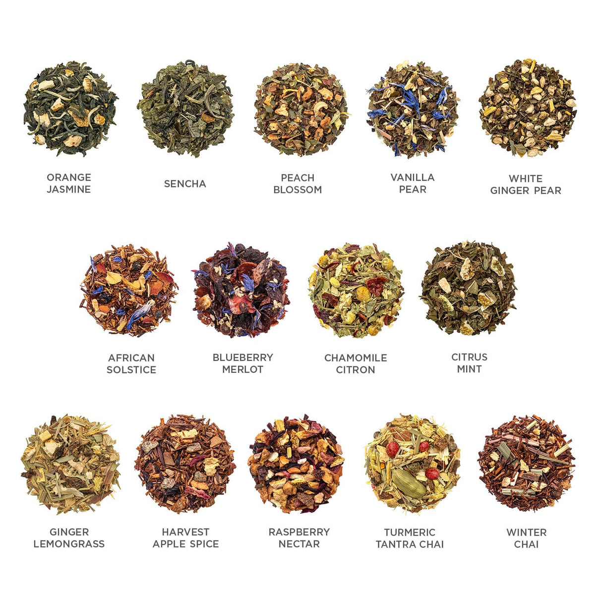 Tea Forte Single Steeps Tea Sampler Classic Tea 15 Pouches - Tea Forte Official Imagery - 7