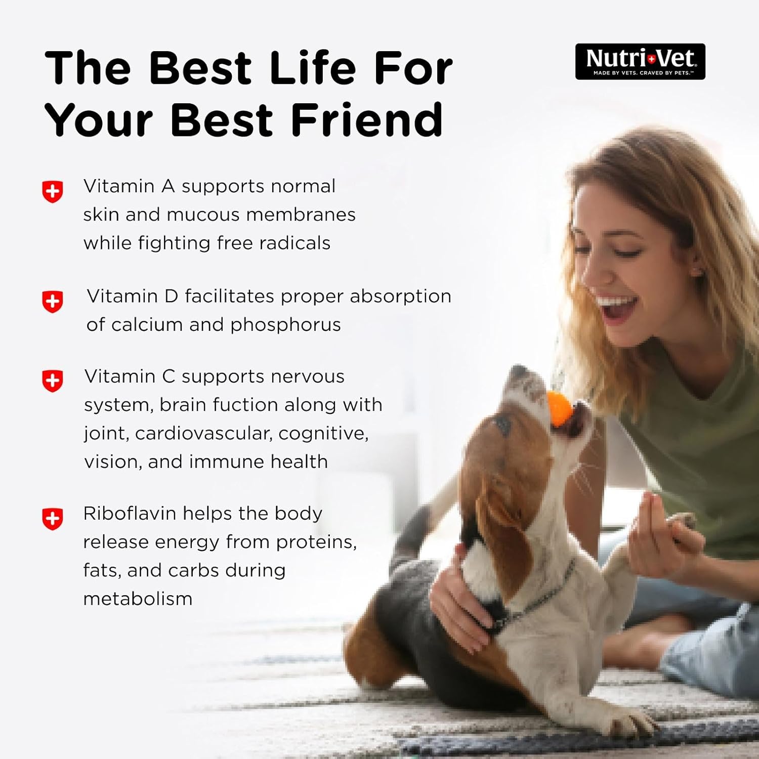 Nutri-Vet Multi-Vite Chewables for adult dogs, daily dog vitamins in bite-sized treats, with colorful packaging and chewable form.