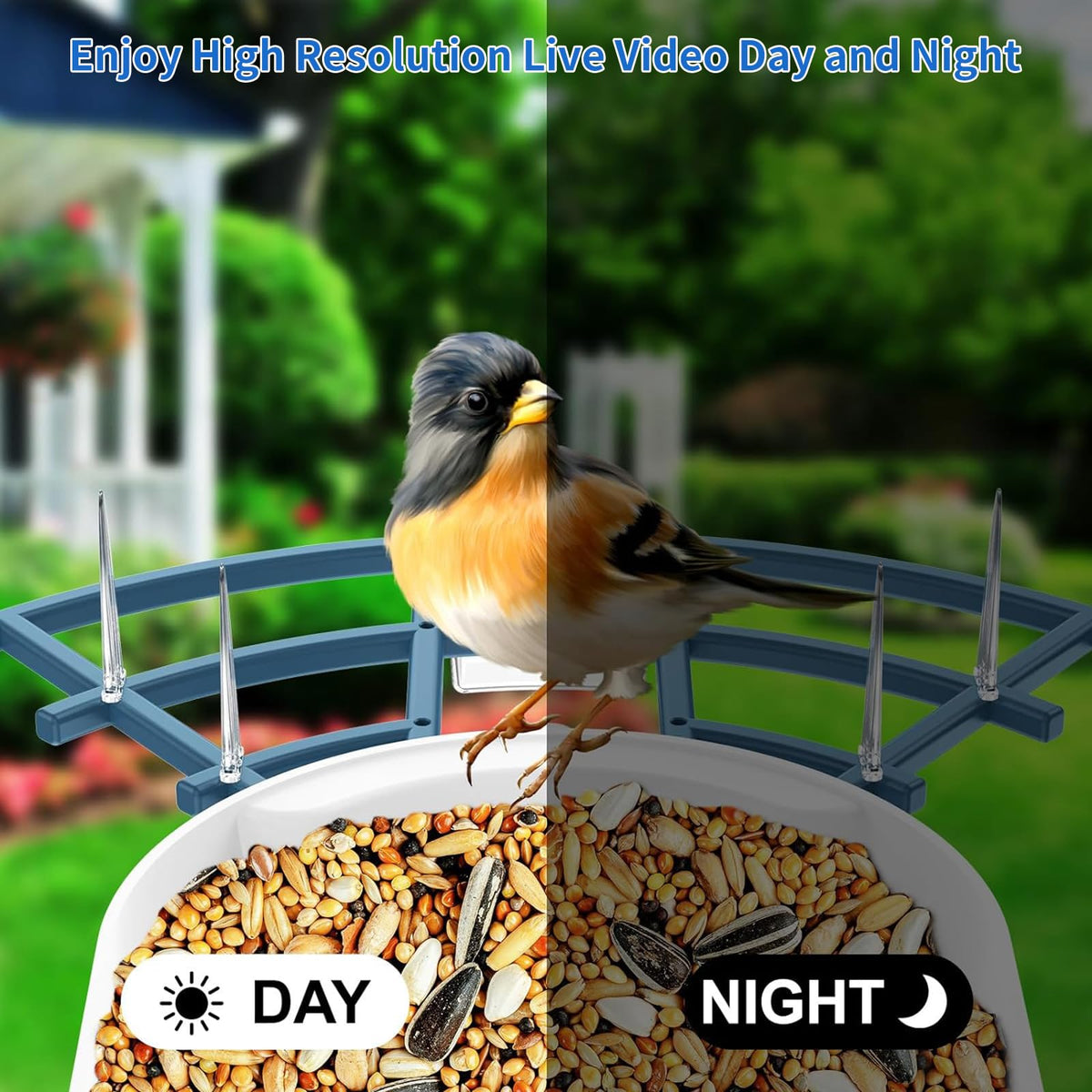Bird Feeder with Camera Birds House Camera Solar Powered AI - Fazoxo Official Imagery - 7